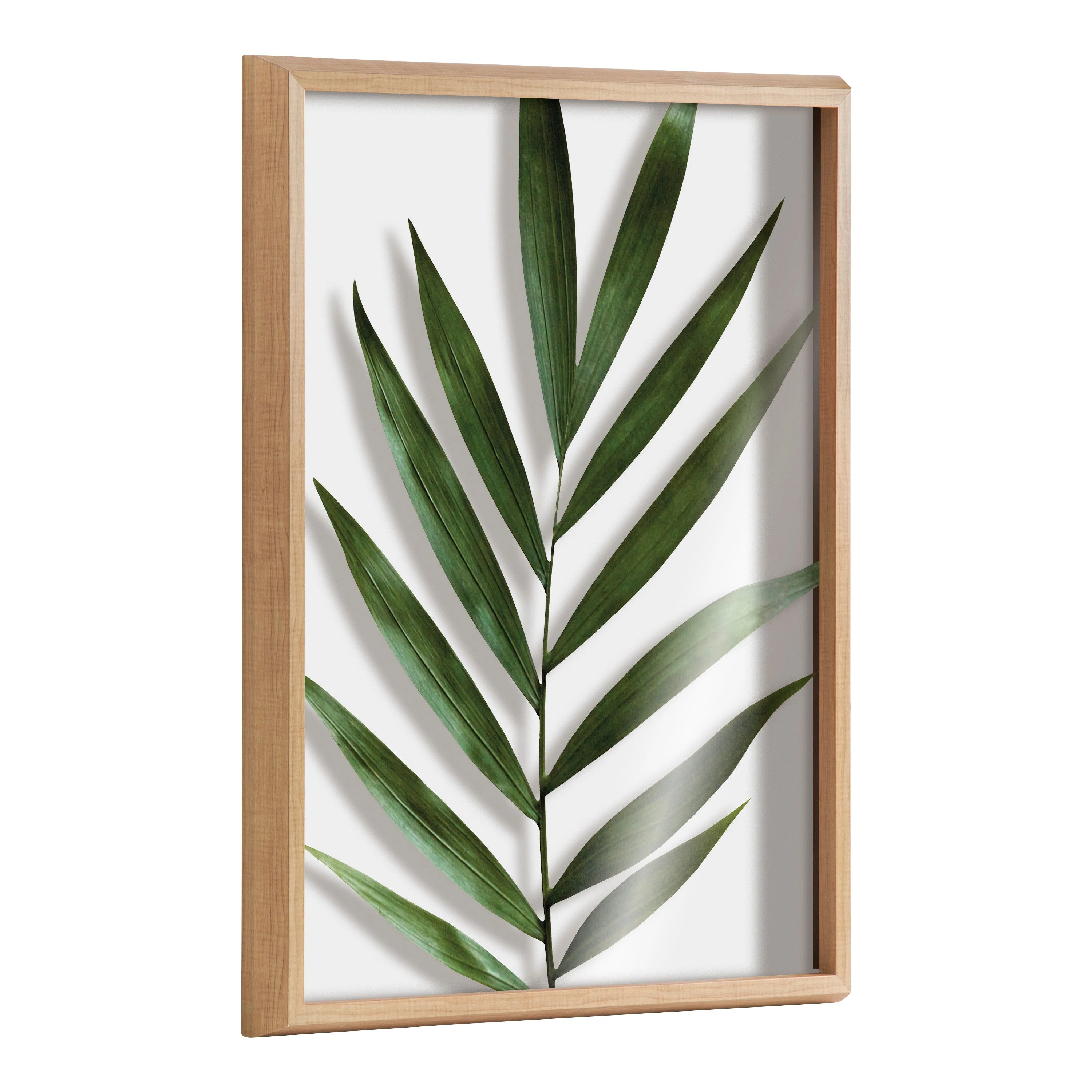 Blake Botanical 5F Framed Printed Glass by Amy Peterson - Image 13