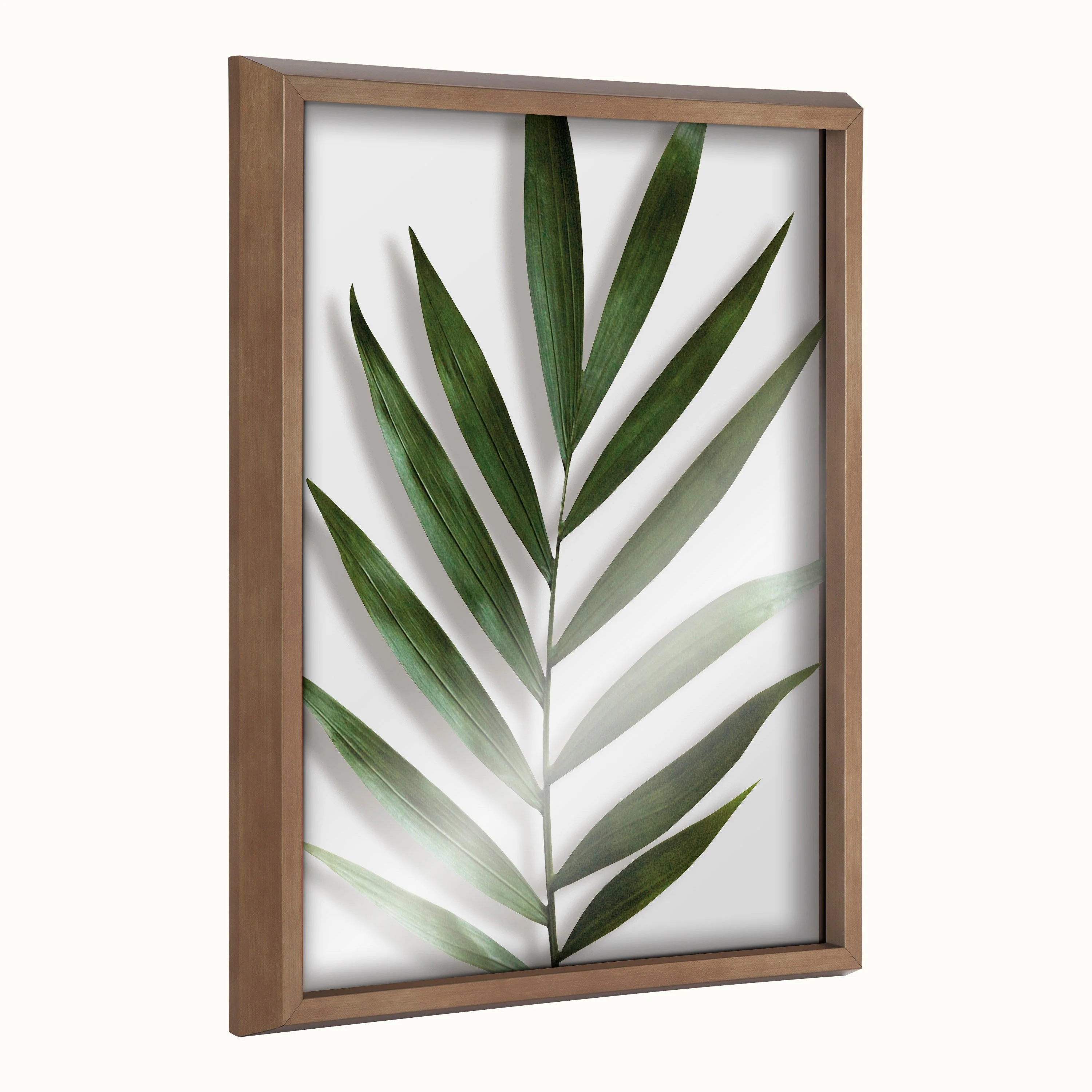 Blake Botanical 5F Framed Printed Glass by Amy Peterson - Image 25