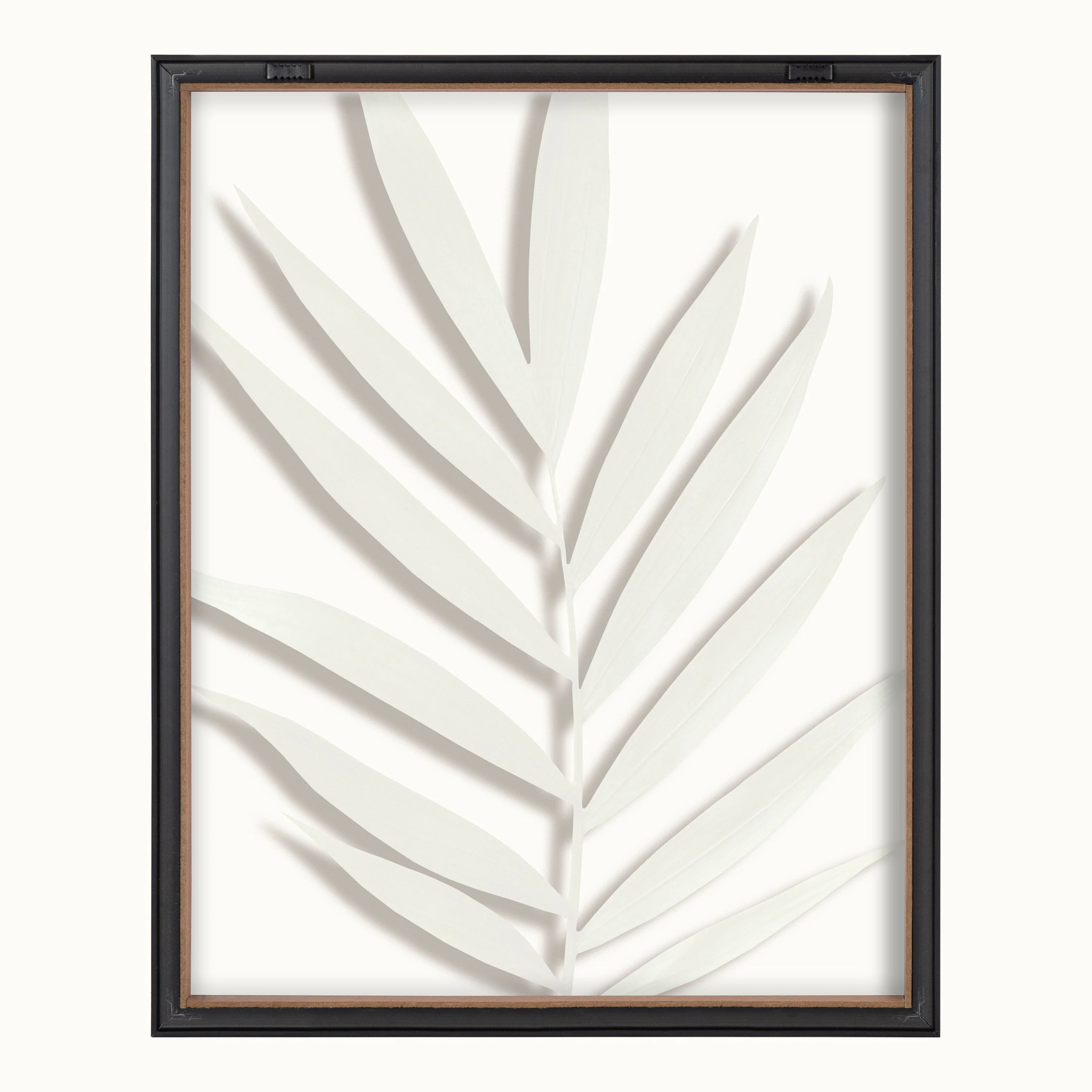 Blake Botanical 5F Framed Printed Glass by Amy Peterson - Image 30