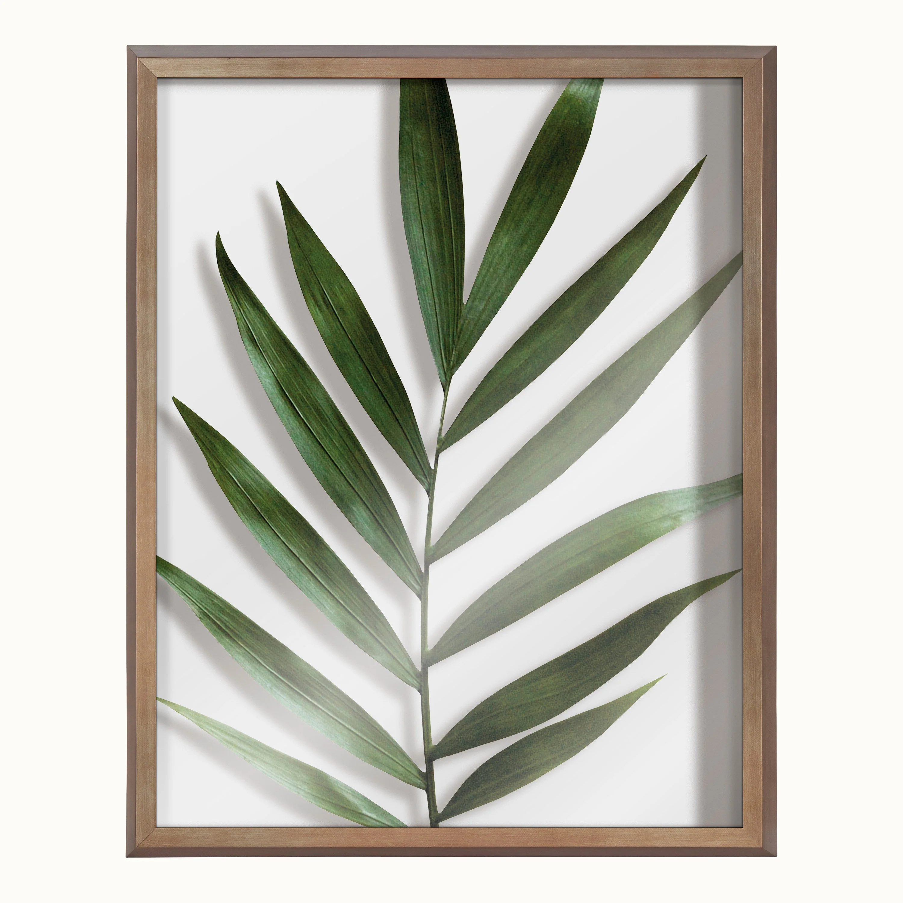 Blake Botanical 5F Framed Printed Glass by Amy Peterson - Image 54