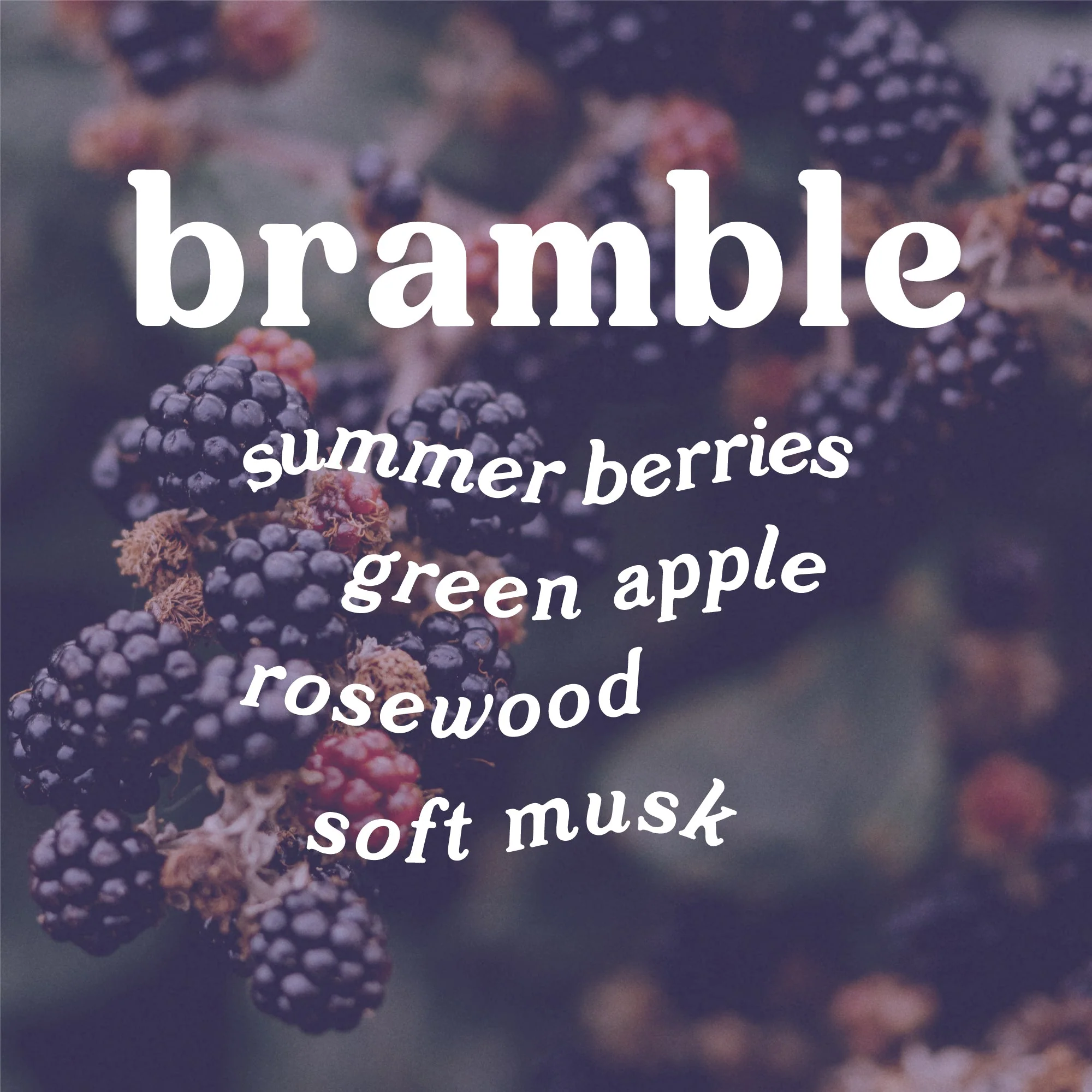 Bramble 4 oz. Hue Reed Diffuser - Blackberry & Rosewood - Image 4