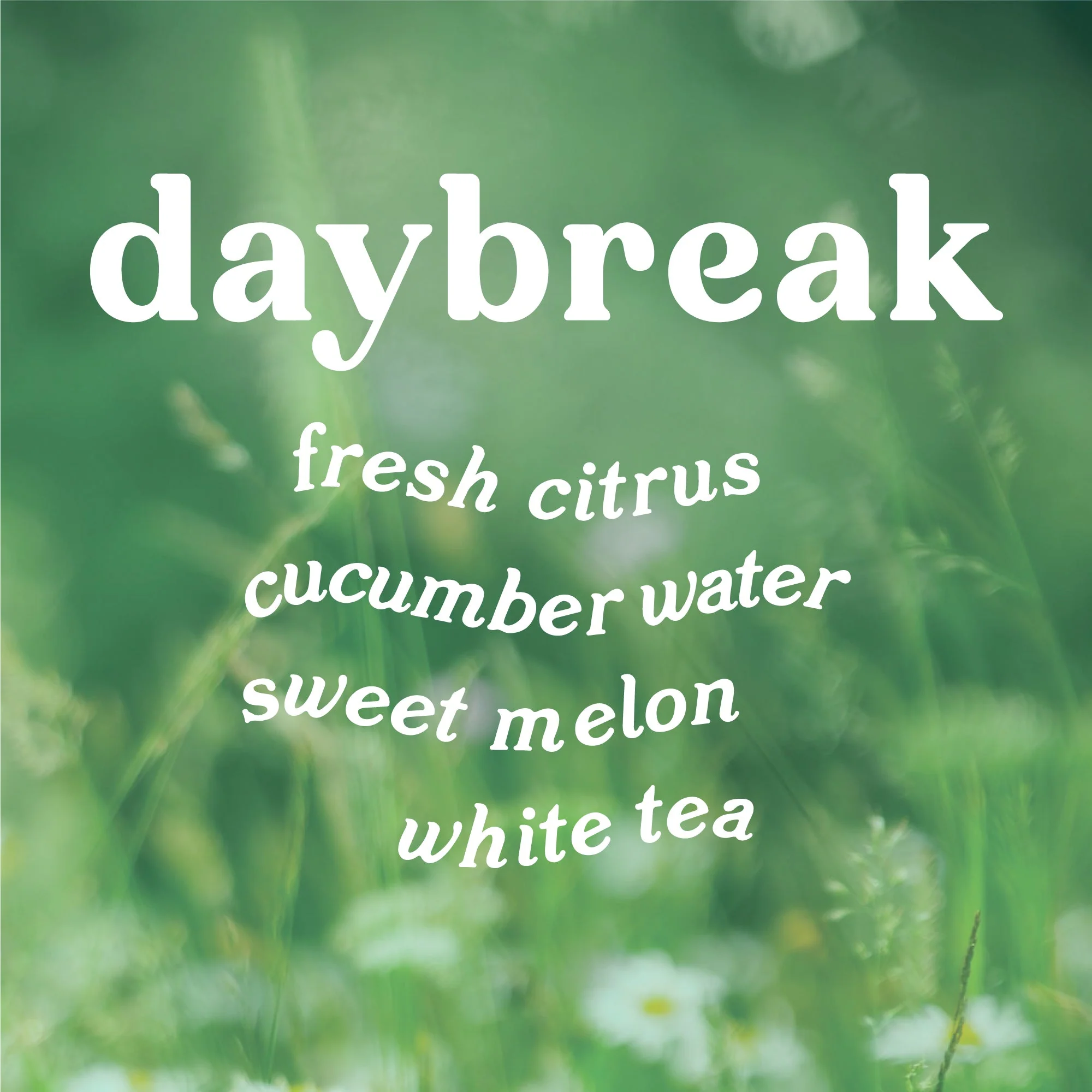 Daybreak 4 oz. Hue Reed Diffuser - Lemon & Cucumber - Image 4