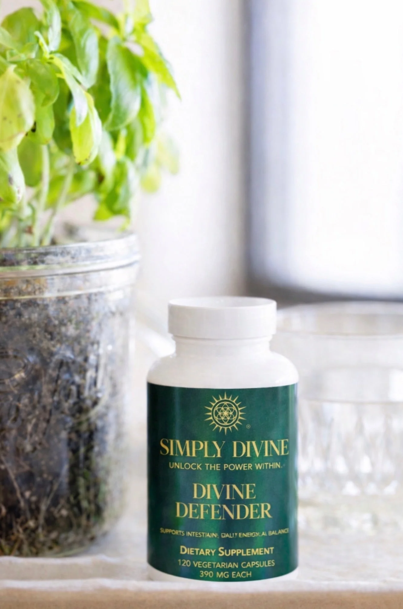 Parasite Cleanse Herbal Supplement - Divine Defender