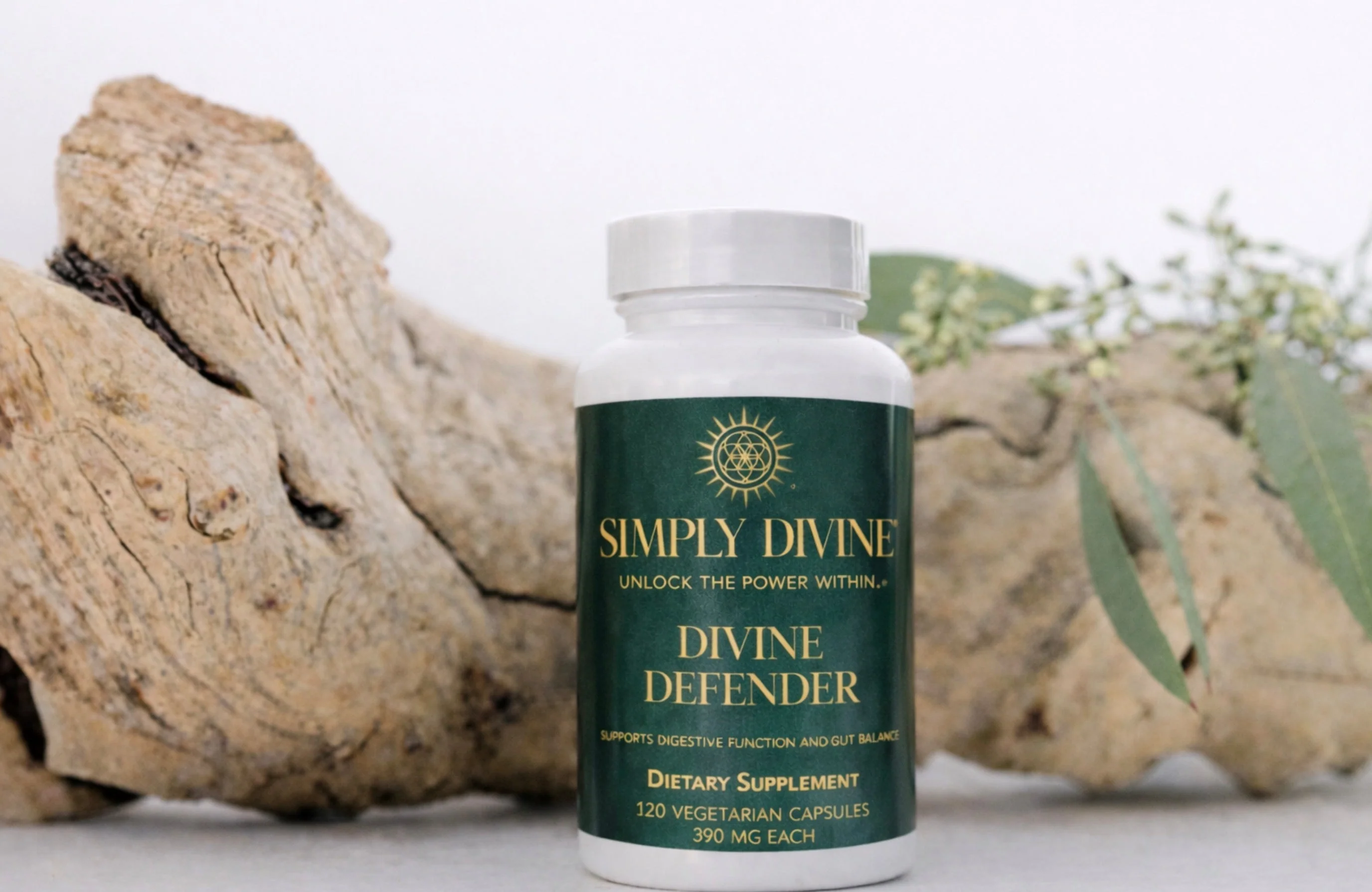 Parasite Cleanse Herbal Supplement - Divine Defender - Image 2