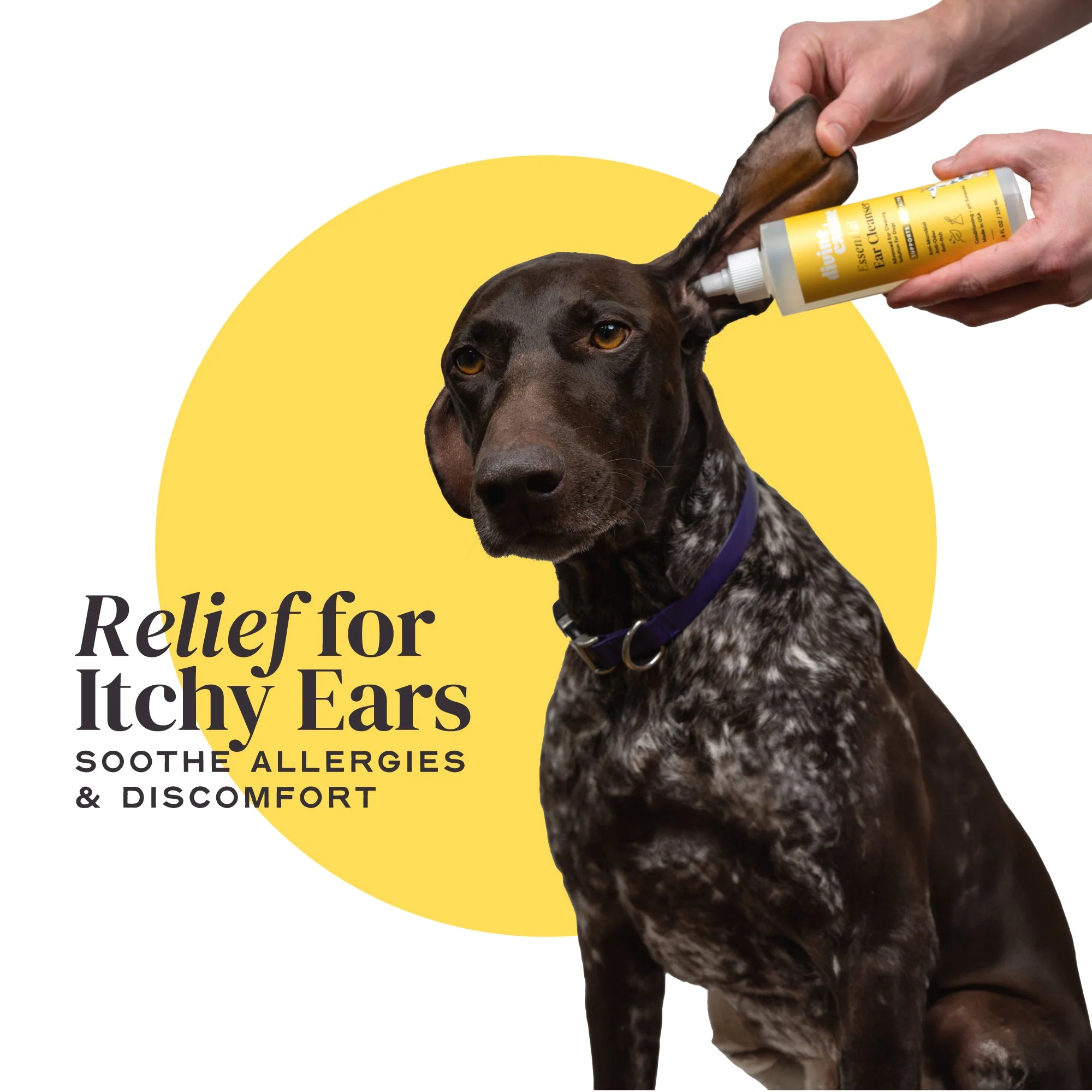 Essential Ear Cleanser - Image 6