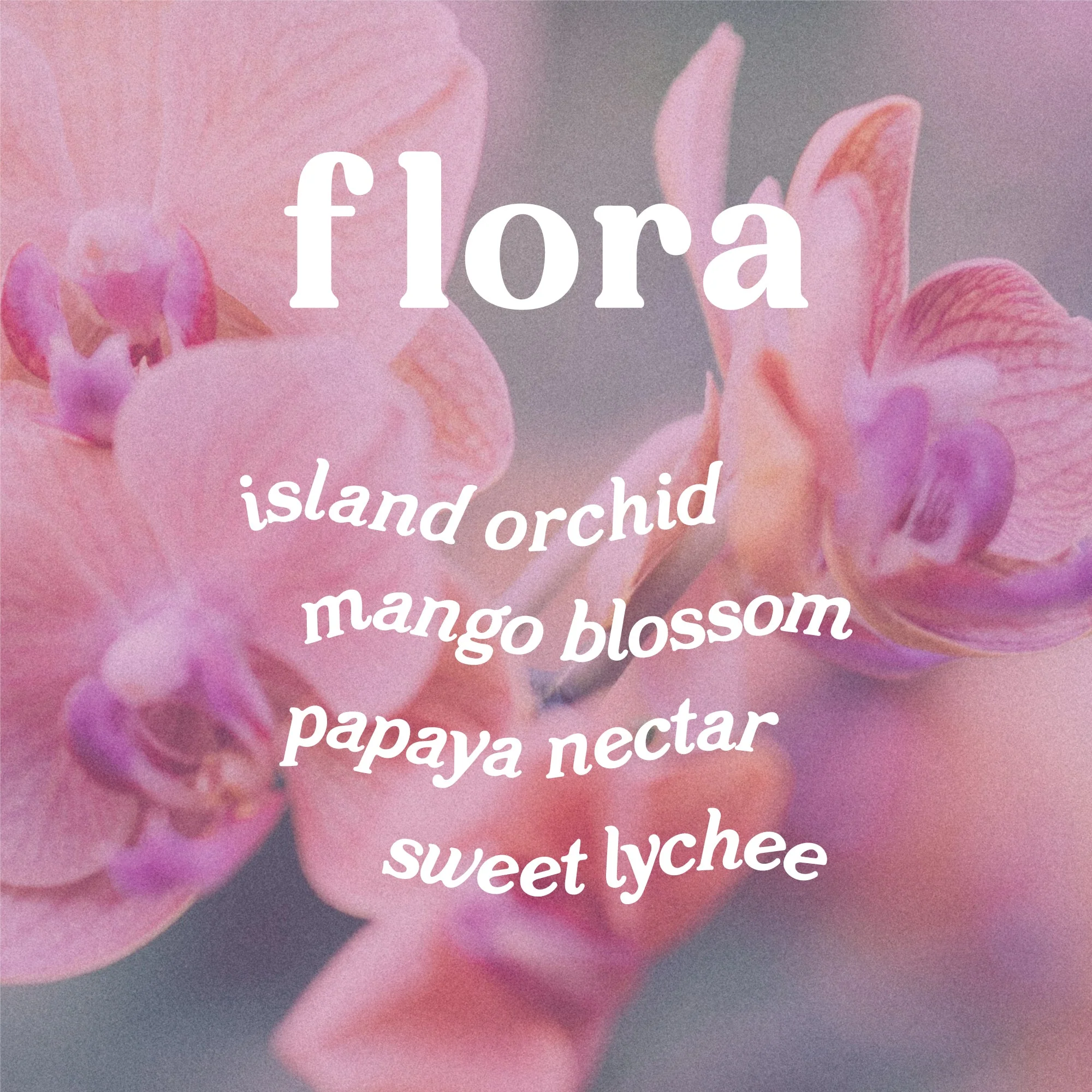 Flora 9 oz. Hue Soy Candle - Wild Orchid - Image 5