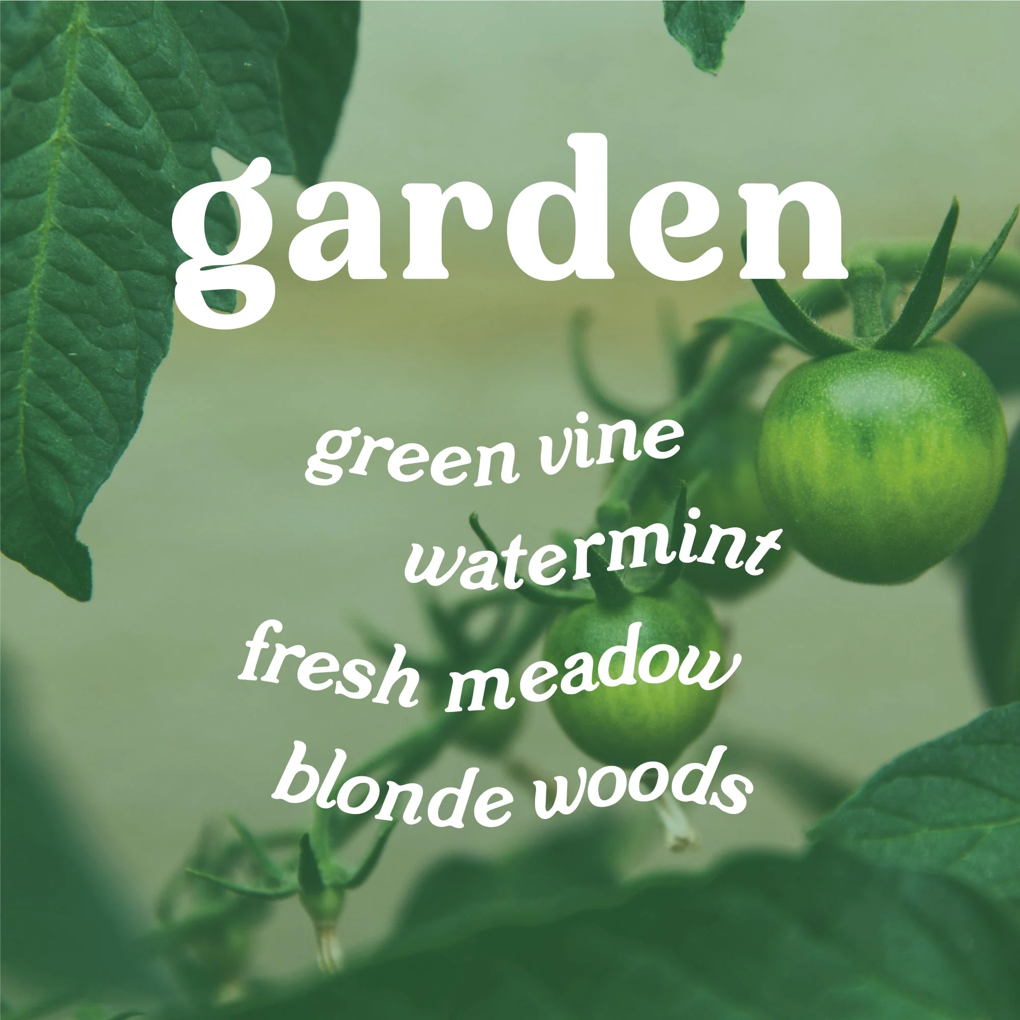 Garden 4 oz. Hue Reed Diffuser - Tomato Vine - Image 3