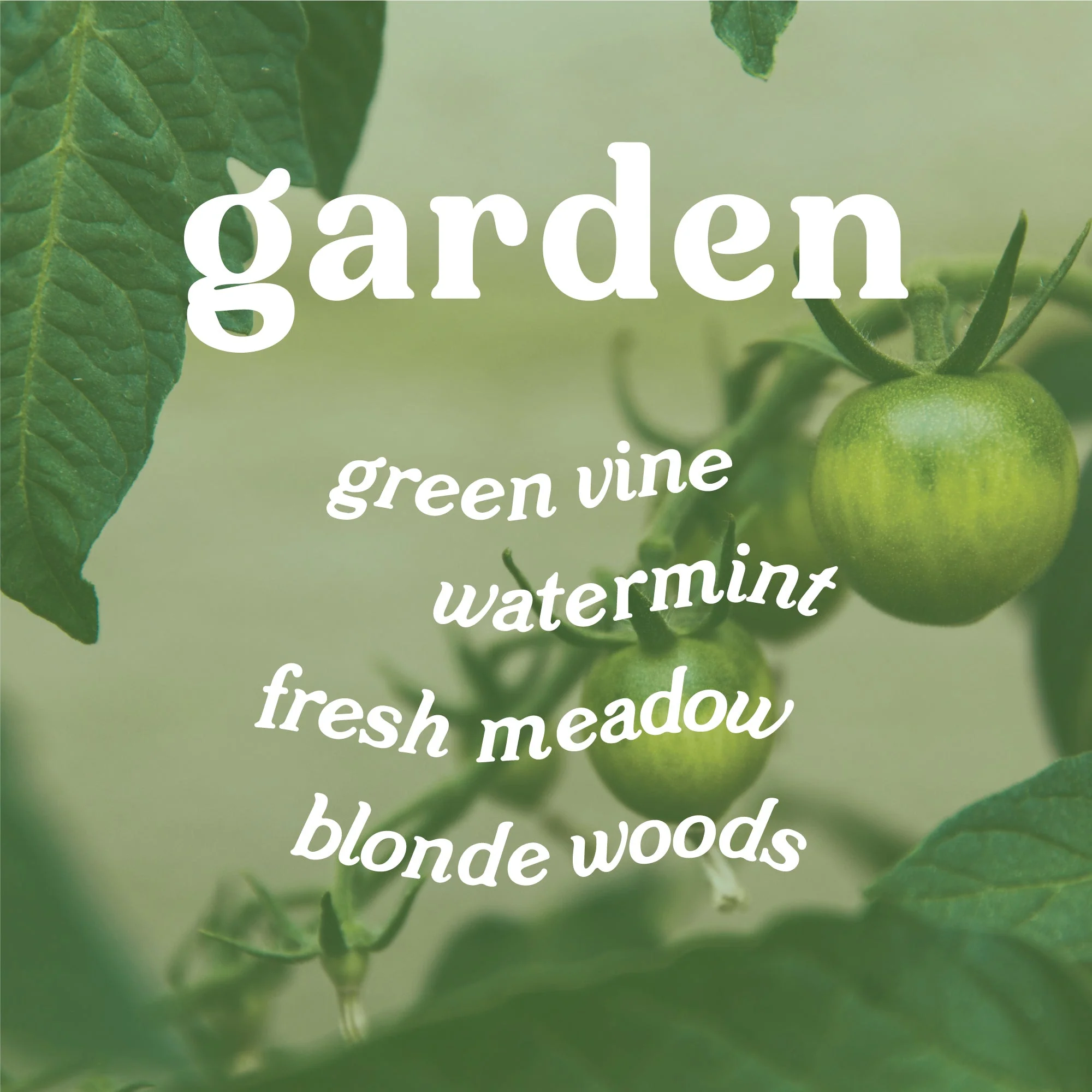 Garden 9 oz. Hue Soy Candle - Tomato Vine - Image 6