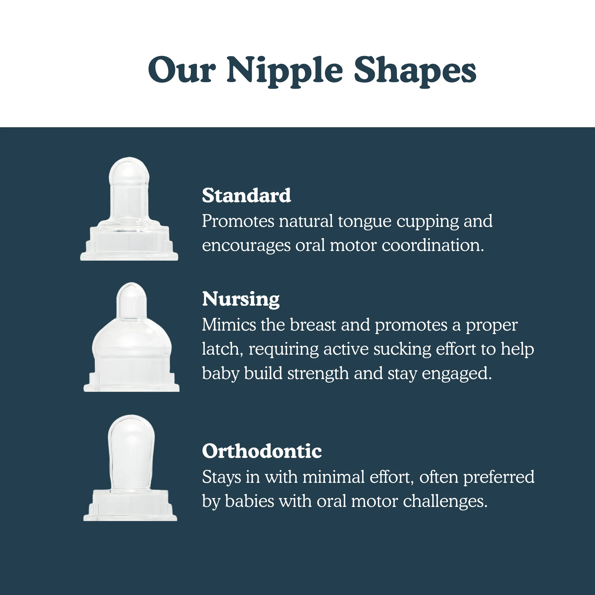 Plastic-Free Multiple Shape Pacifier Kit - Nipples & Shield - Image 5
