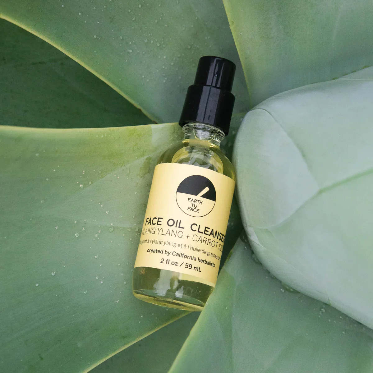 Botanical Wellness Refresh Bundle - Face & Body - Image 2