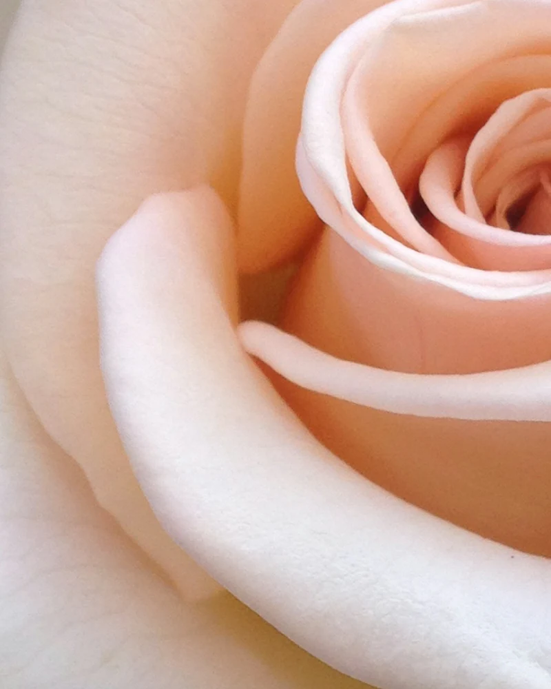 Romantic Shower Mist - Passionate Scent - Image 3