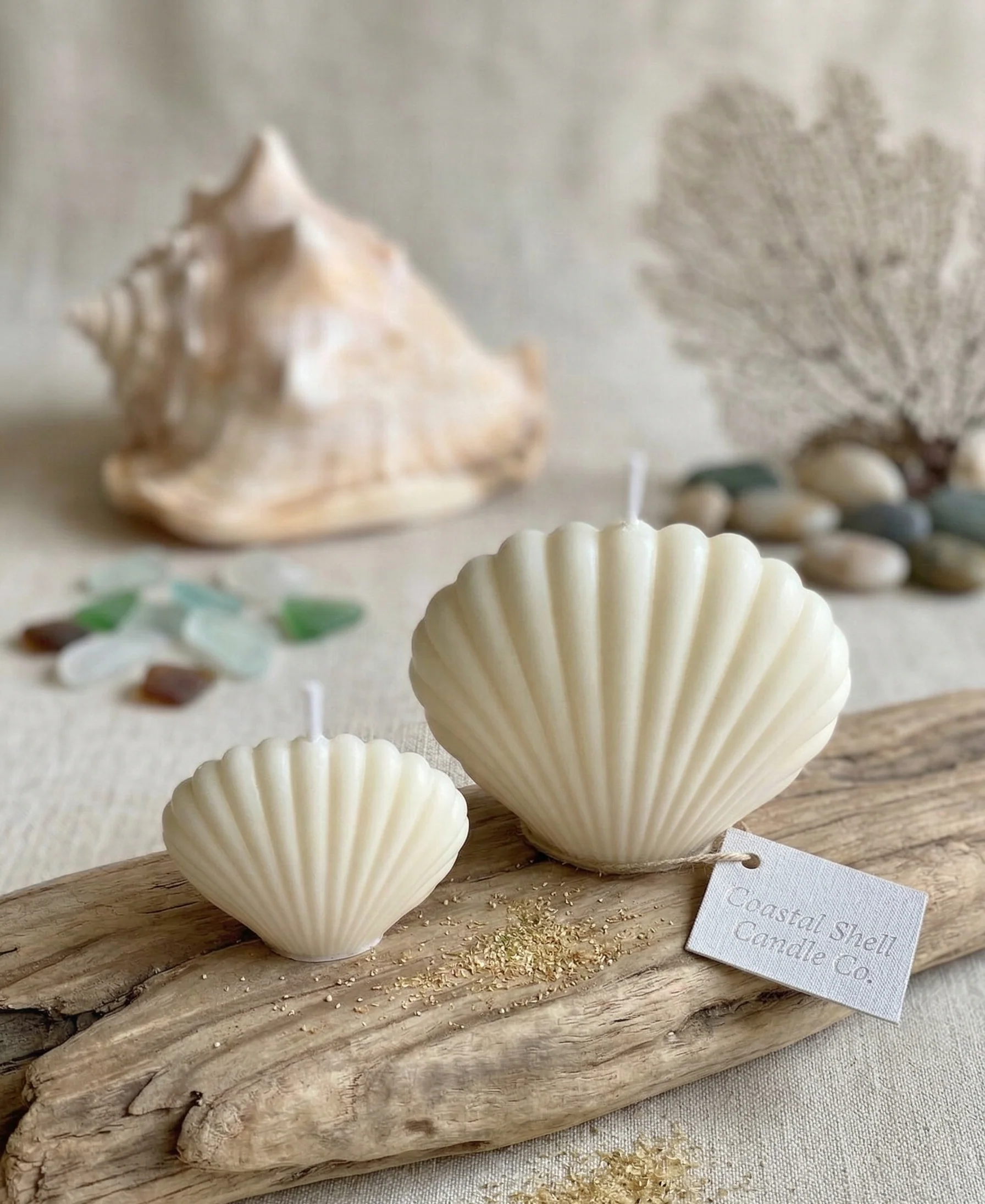 Coastal Soy Wax Shell Sculpture Candle - 2 Sizes - Image 2
