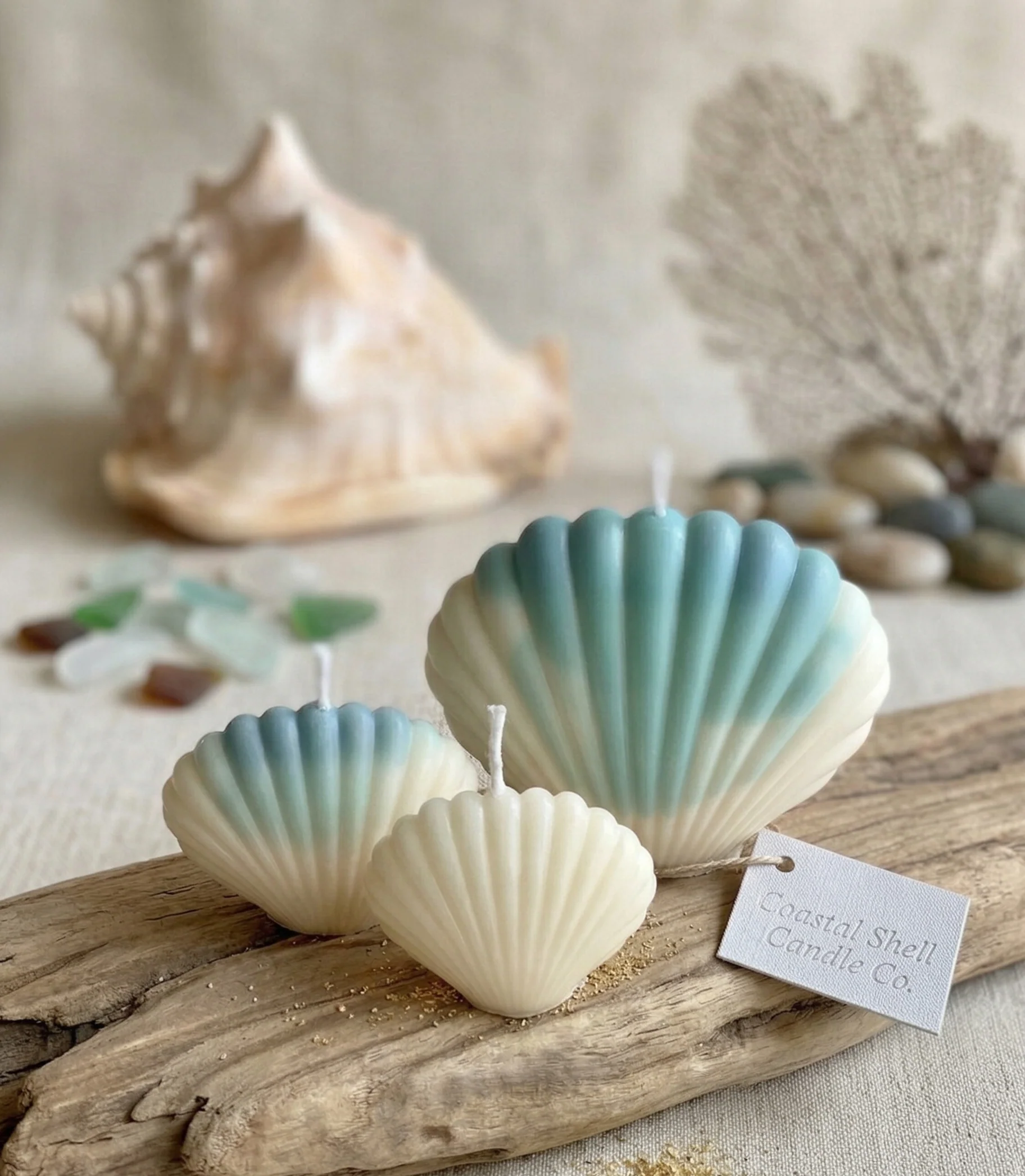 Coastal Soy Wax Shell Sculpture Candle - 2 Sizes - Image 3