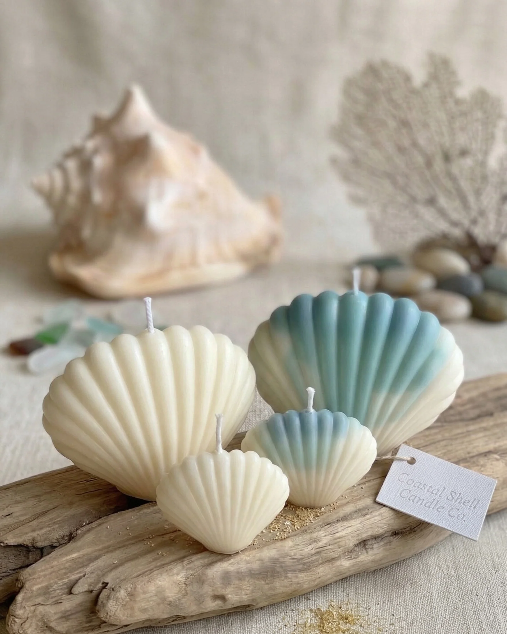 Coastal Soy Wax Shell Sculpture Candle - 2 Sizes - Image 4