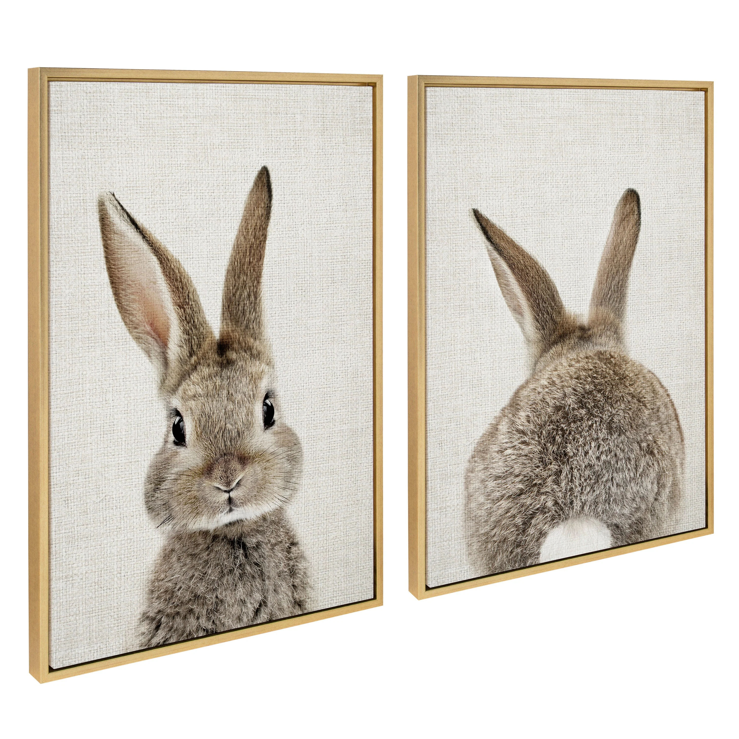 Sylvie Bunny Portrait and Bunny Tail Framed Canvas Art Set by Amy Peterson Art Studio - Image 20