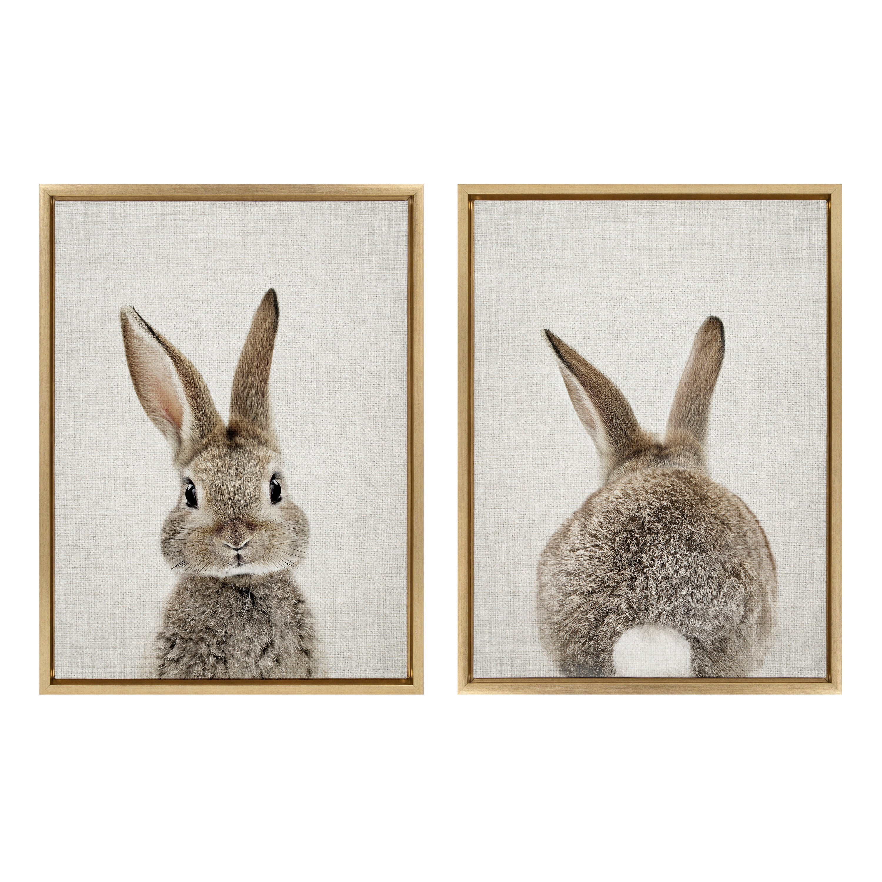 Sylvie Bunny Portrait and Bunny Tail Framed Canvas Art Set by Amy Peterson Art Studio - Image 33