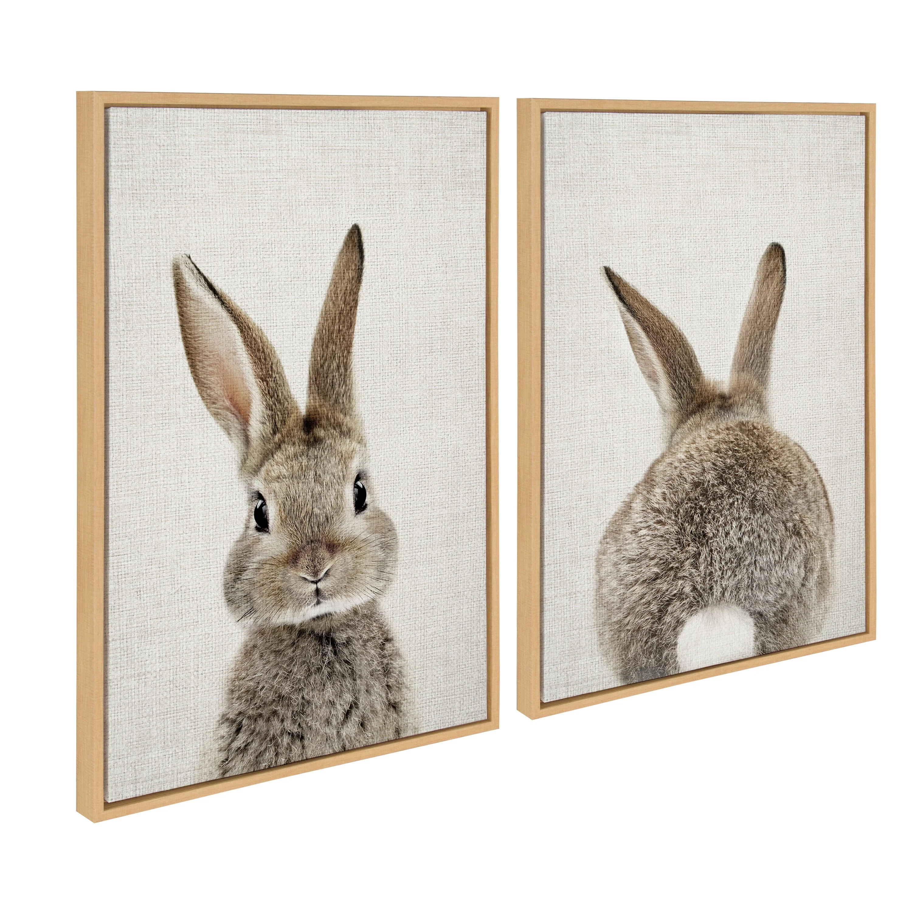 Sylvie Bunny Portrait and Bunny Tail Framed Canvas Art Set by Amy Peterson Art Studio - Image 41