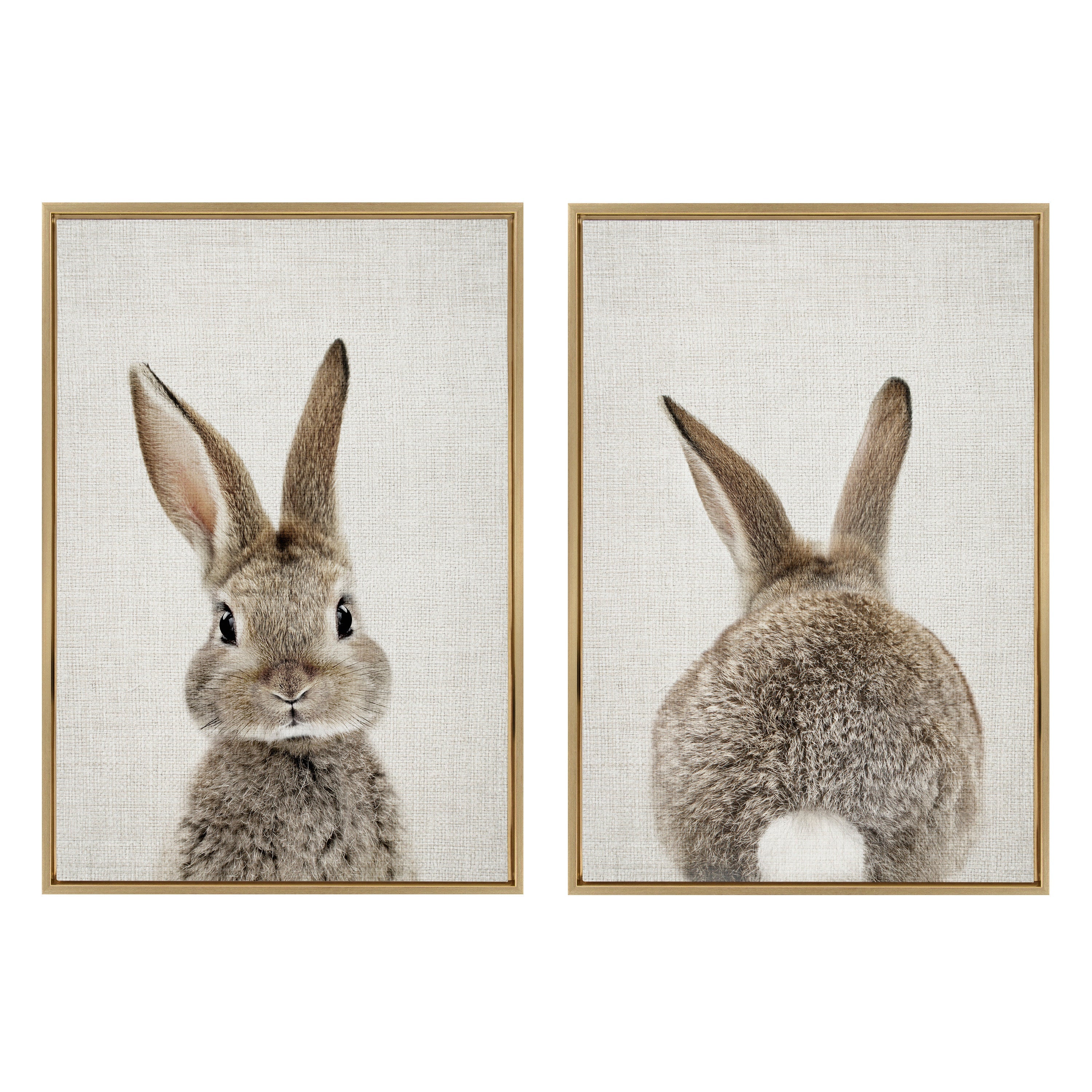 Sylvie Bunny Portrait and Bunny Tail Framed Canvas Art Set by Amy Peterson Art Studio - Image 45