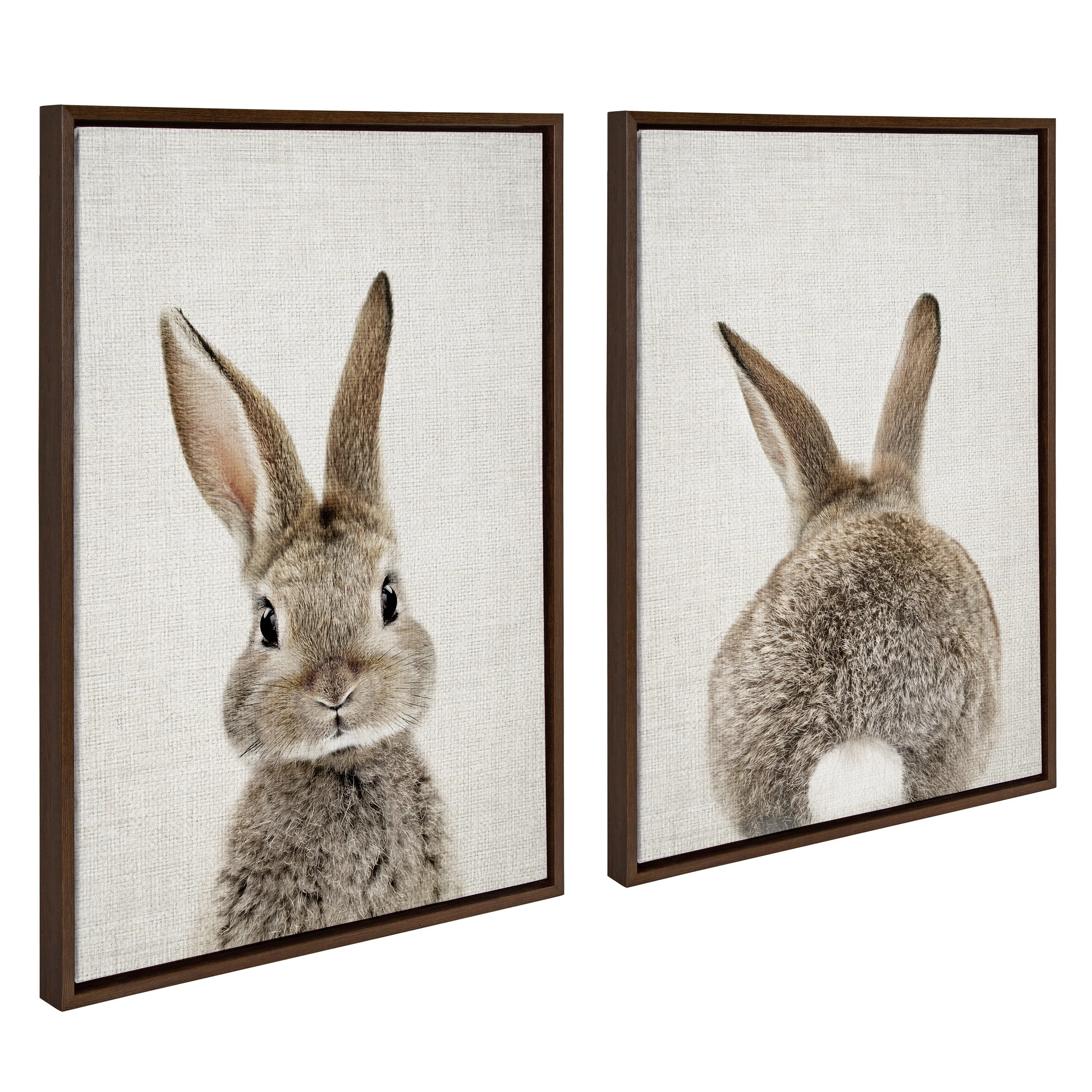 Sylvie Bunny Portrait and Bunny Tail Framed Canvas Art Set by Amy Peterson Art Studio - Image 8
