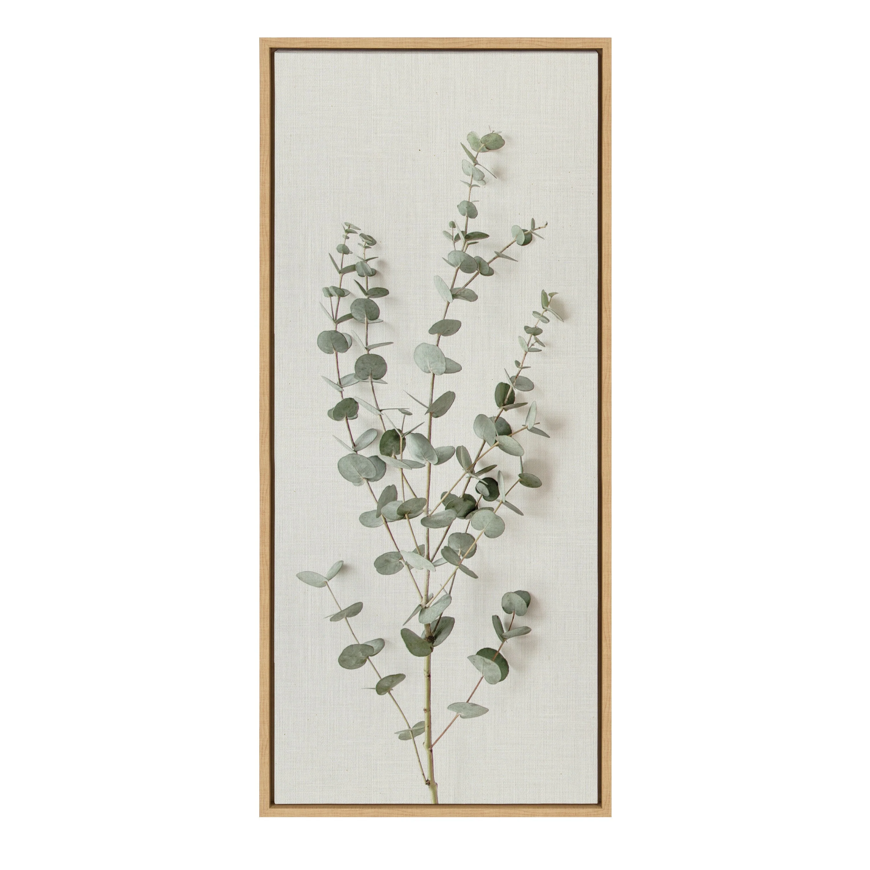 Sylvie Eucalyptus Botanical I Framed Canvas by The Creative Bunch Studio - Image 2