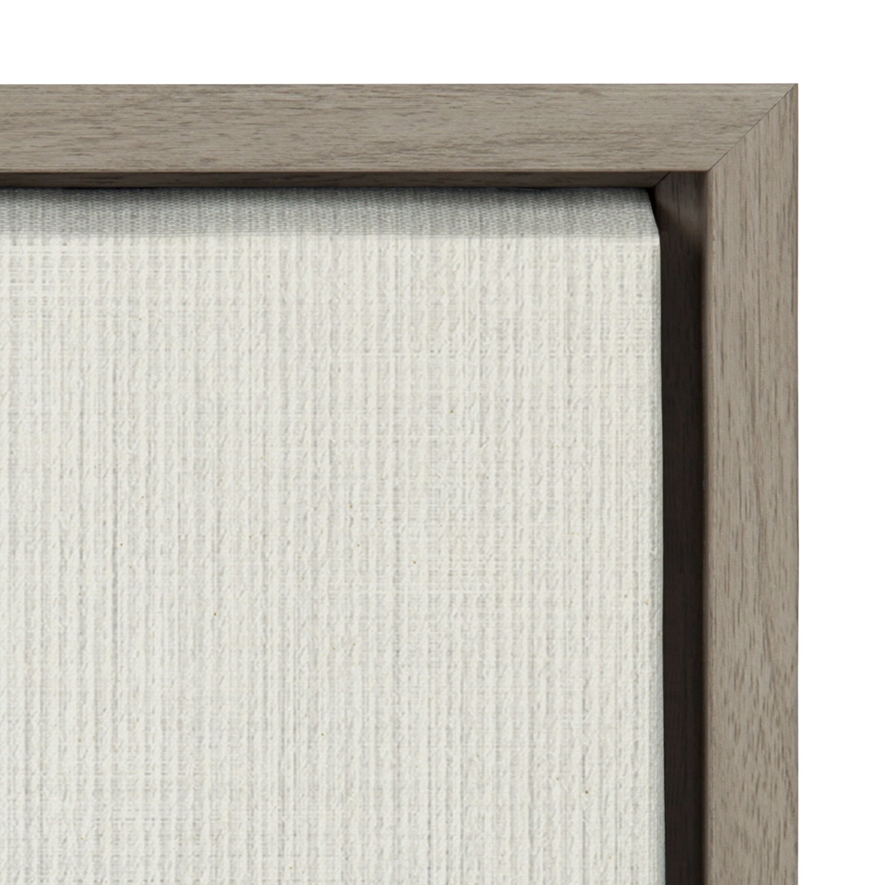 Sylvie Eucalyptus Botanical I Framed Canvas by The Creative Bunch Studio - Image 29