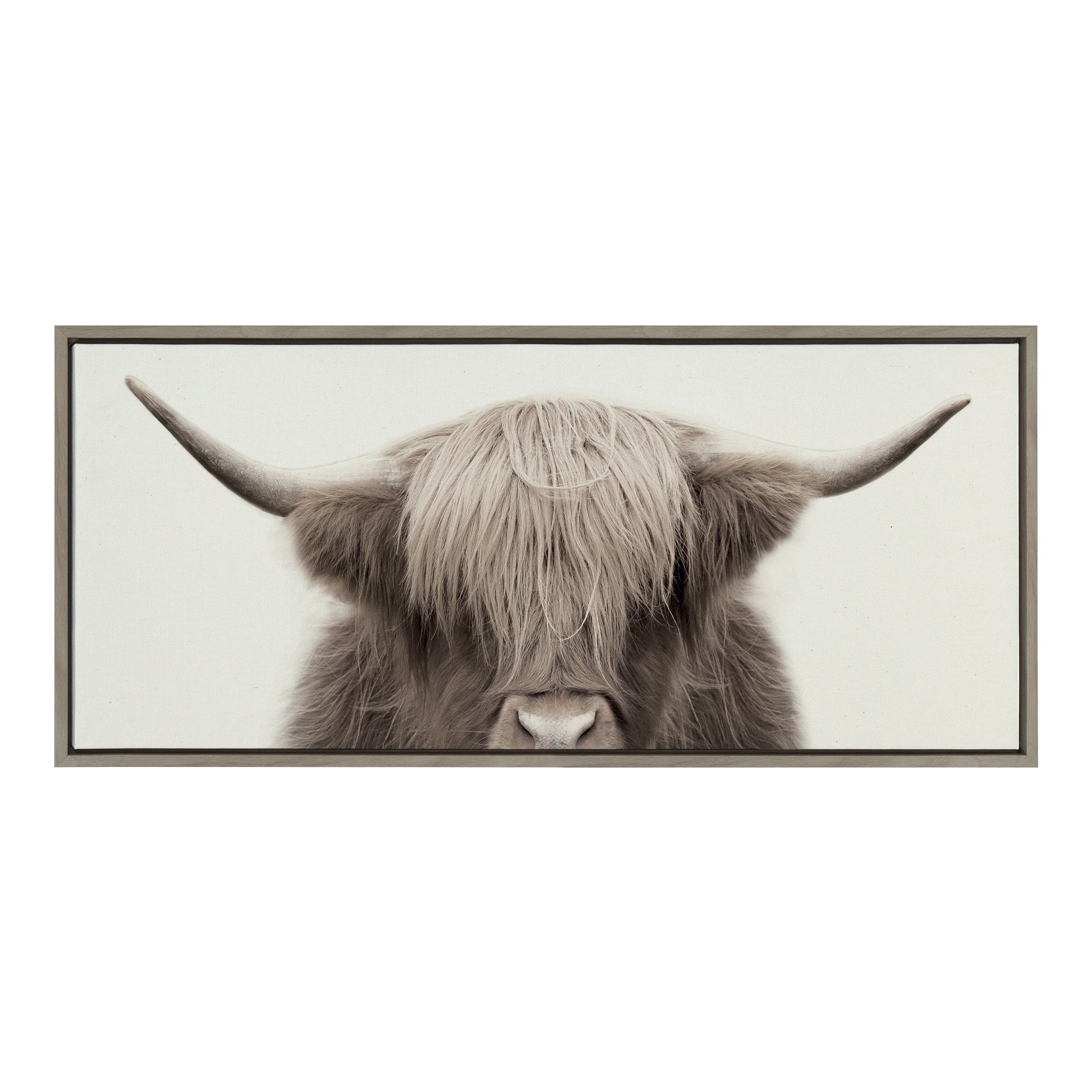 Sylvie Hey Dude Highland Cow Color Framed Canvas by The Creative Bunch Studio - Image 17