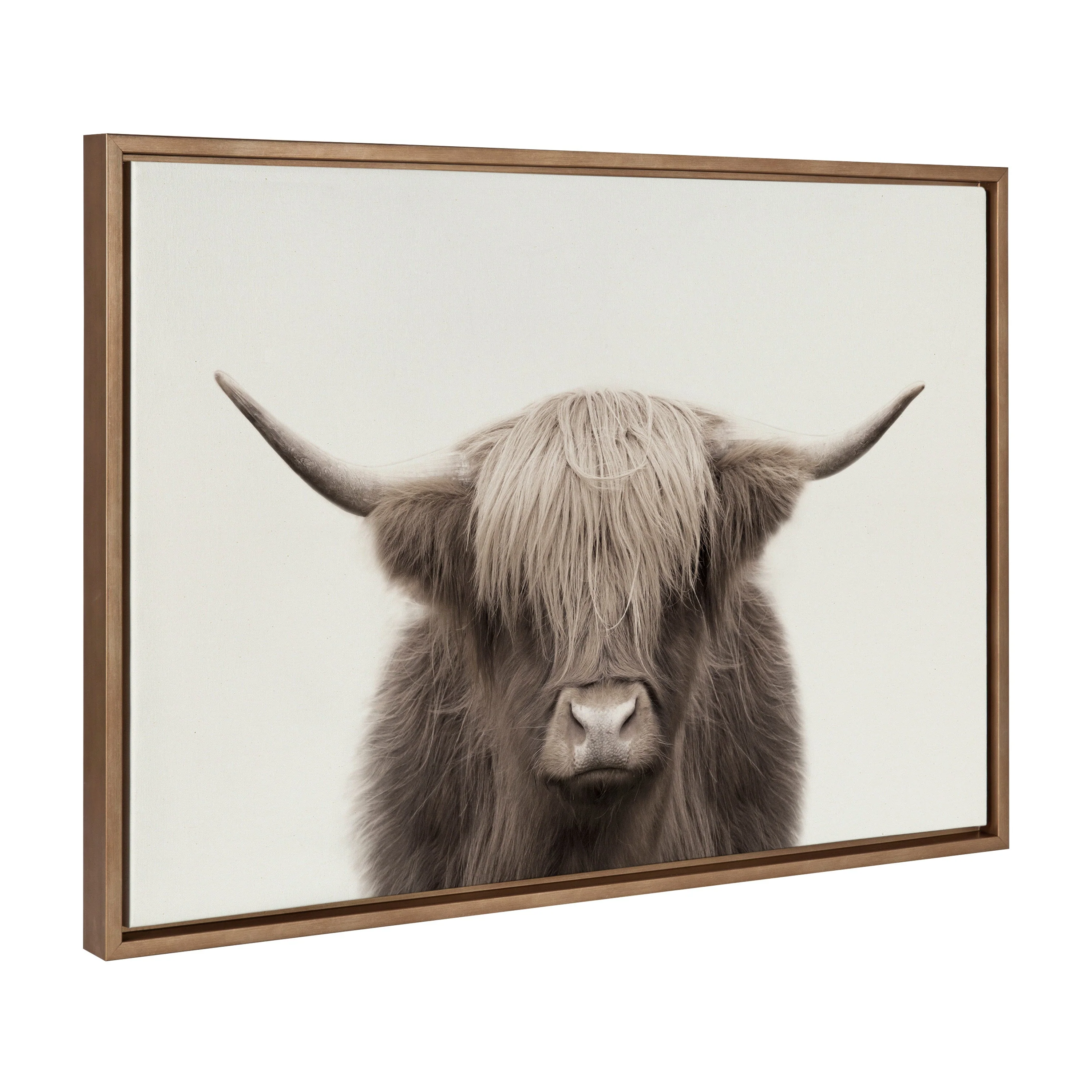 Sylvie Hey Dude Highland Cow Color Framed Canvas by The Creative Bunch Studio - Image 18