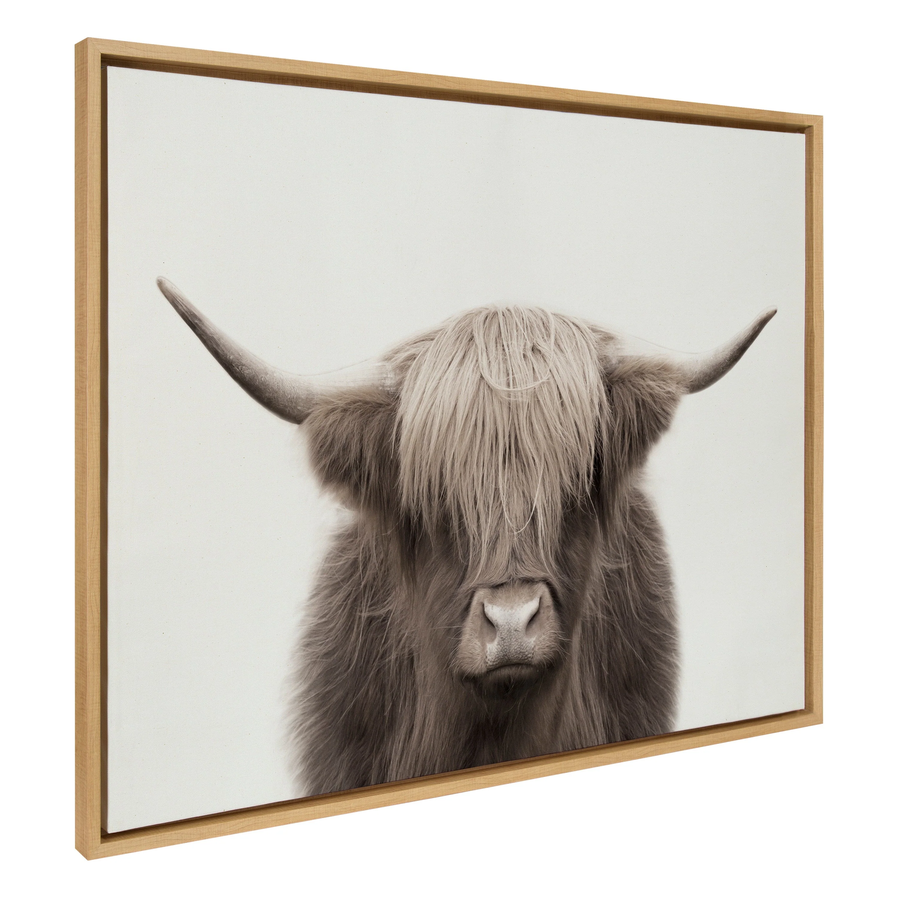 Sylvie Hey Dude Highland Cow Color Framed Canvas by The Creative Bunch Studio - Image 25