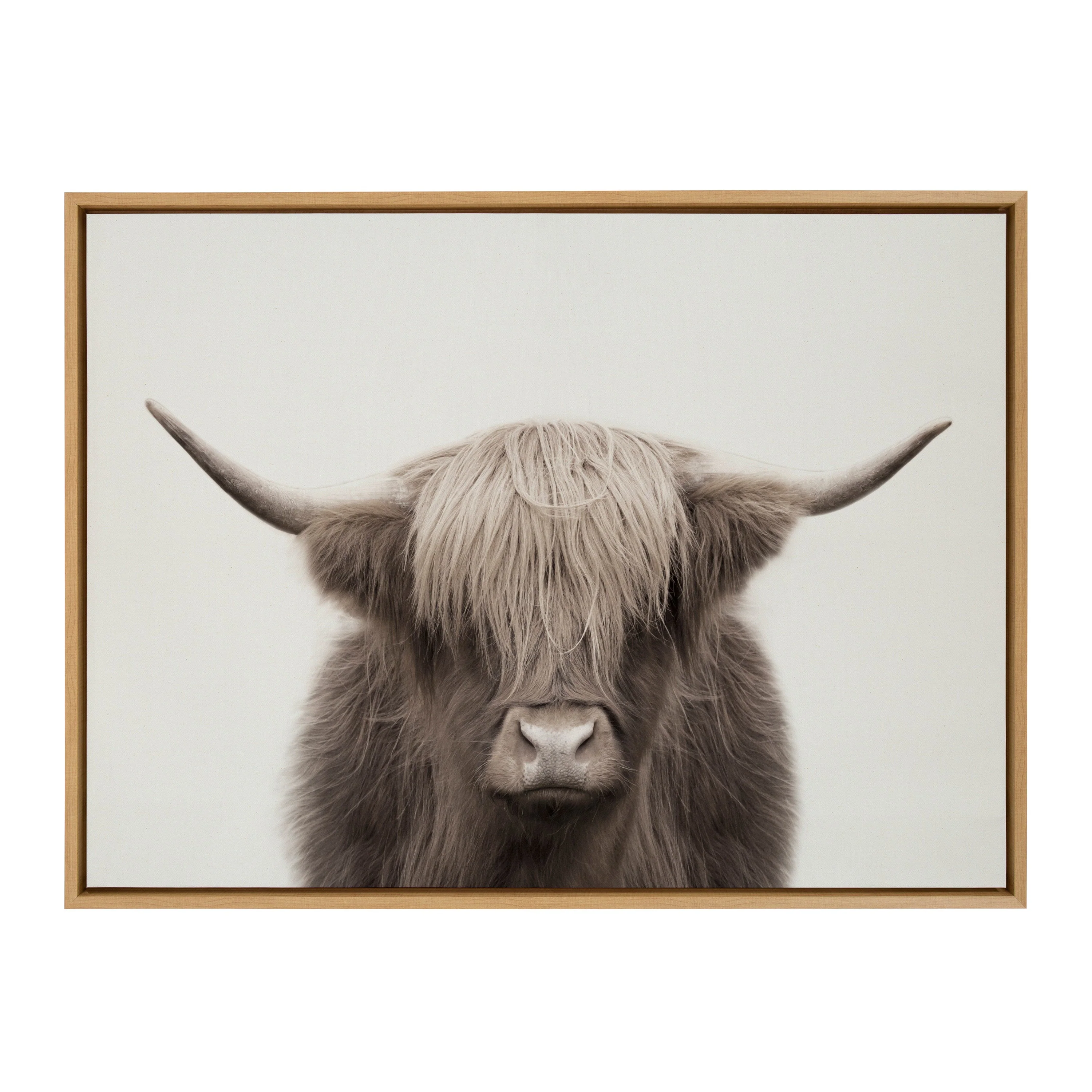 Sylvie Hey Dude Highland Cow Color Framed Canvas by The Creative Bunch Studio - Image 30