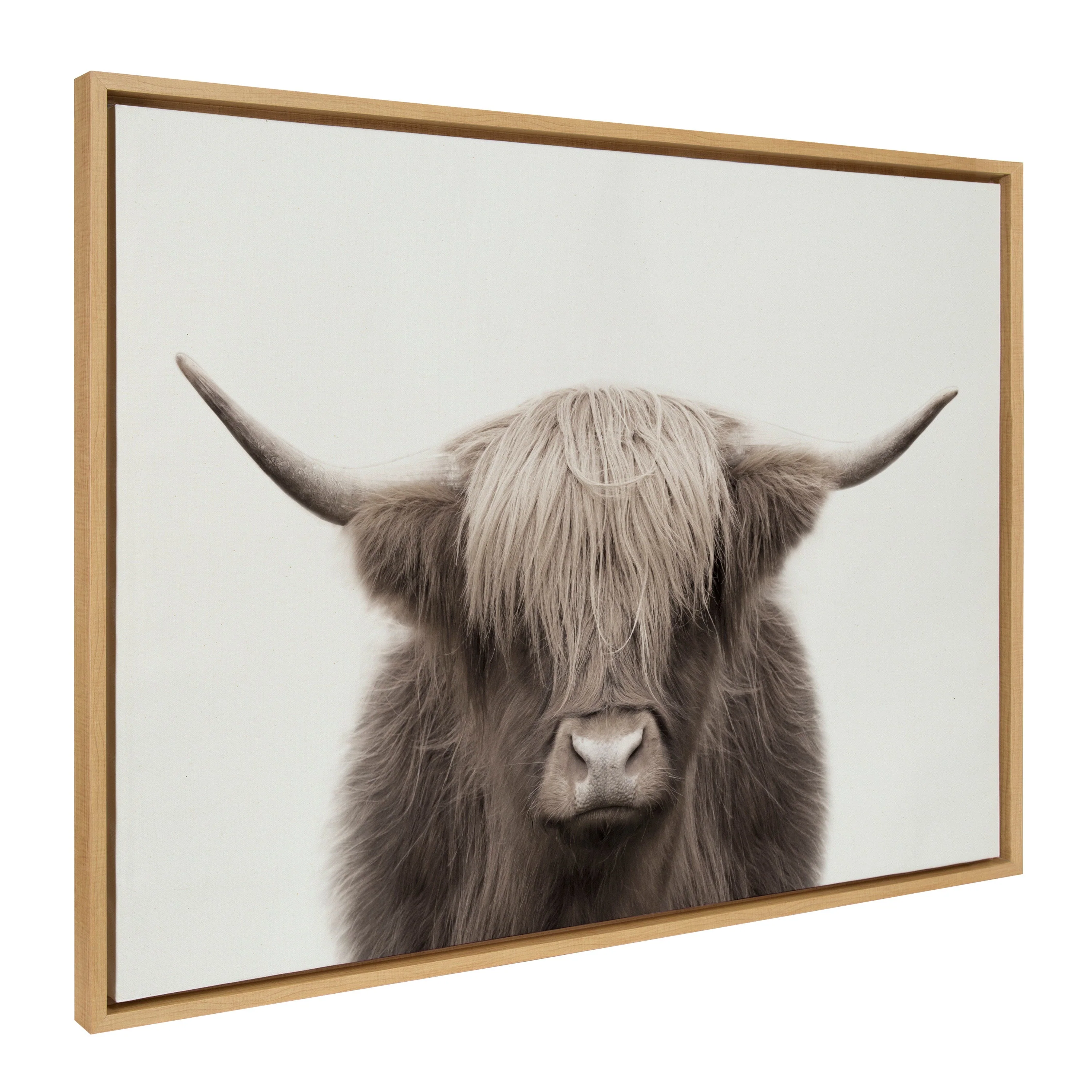 Sylvie Hey Dude Highland Cow Color Framed Canvas by The Creative Bunch Studio - Image 31