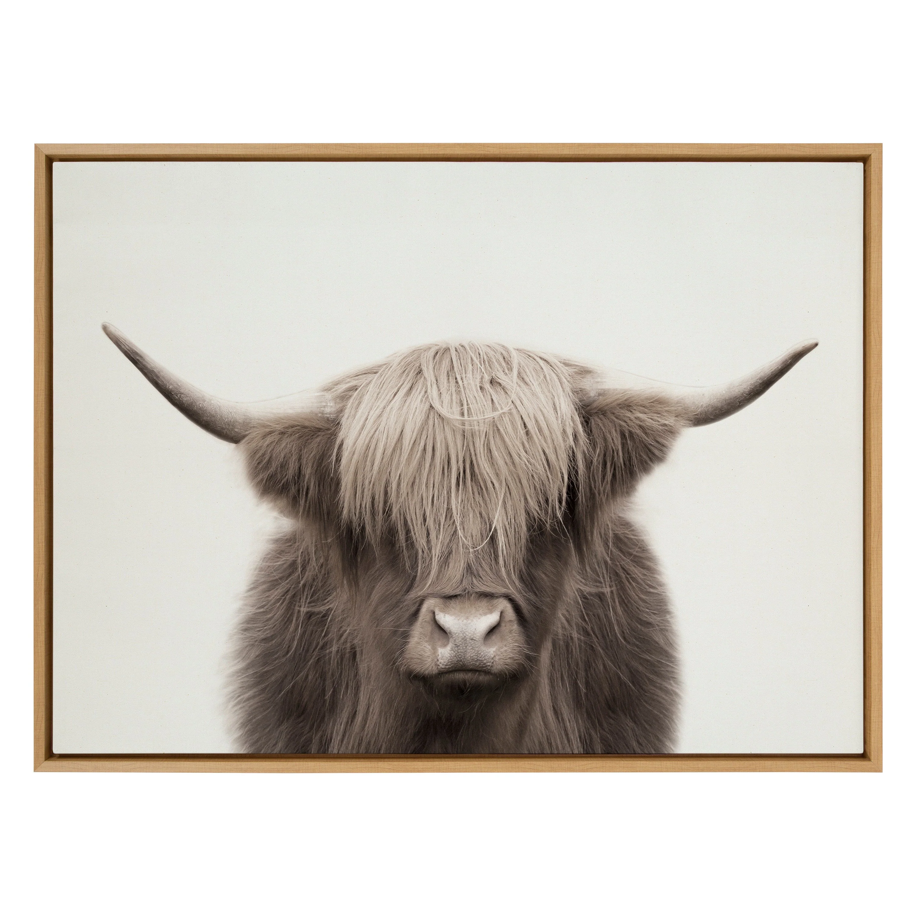 Sylvie Hey Dude Highland Cow Color Framed Canvas by The Creative Bunch Studio - Image 37