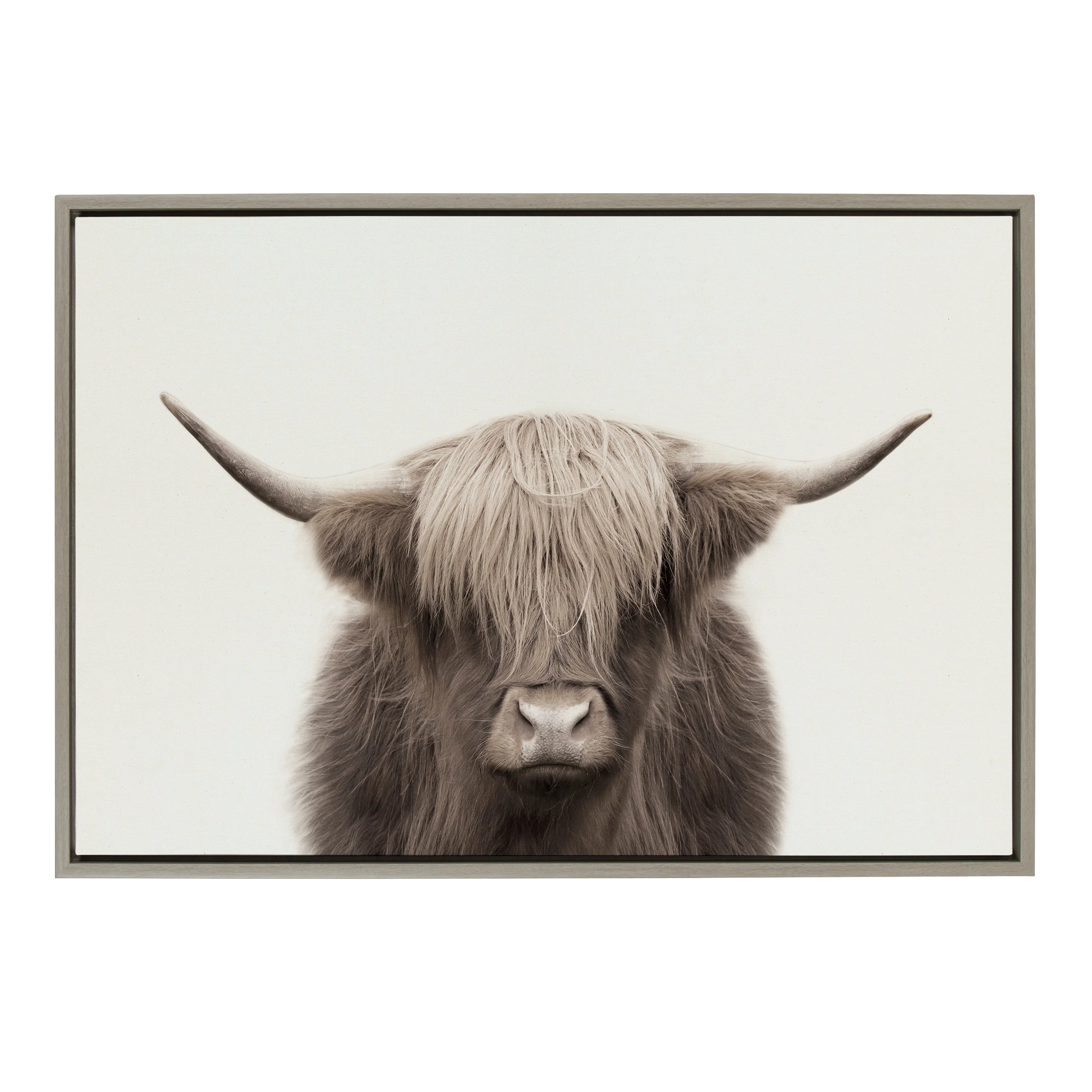 Sylvie Hey Dude Highland Cow Color Framed Canvas by The Creative Bunch Studio - Image 38