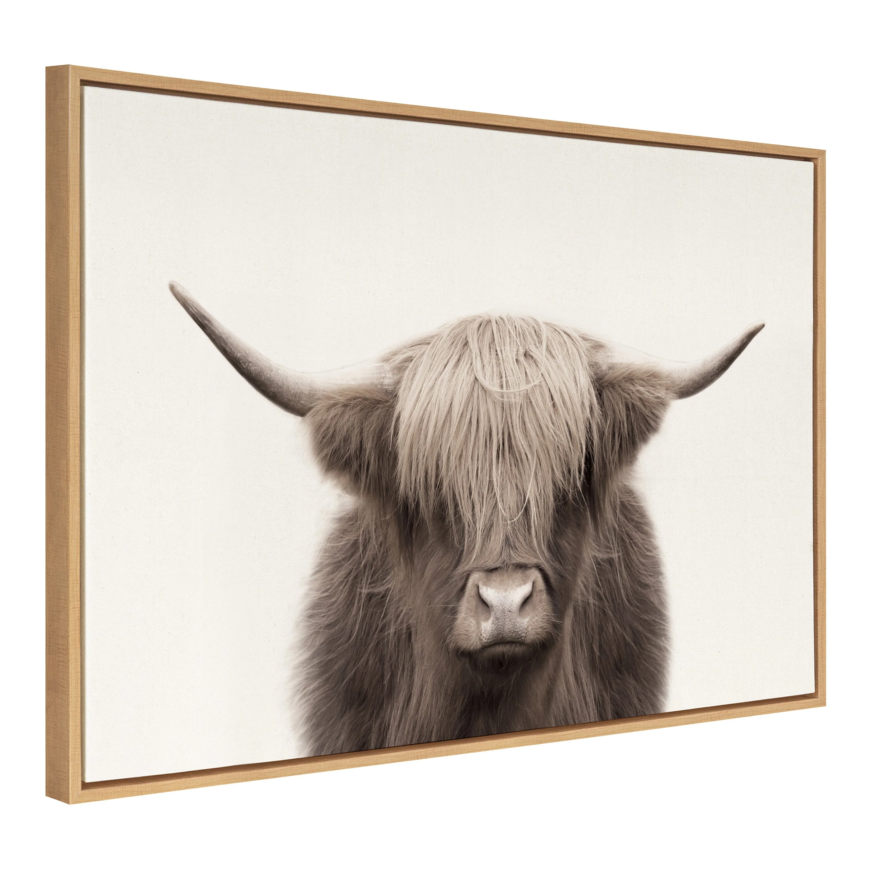 Sylvie Hey Dude Highland Cow Color Framed Canvas by The Creative Bunch Studio - Image 40
