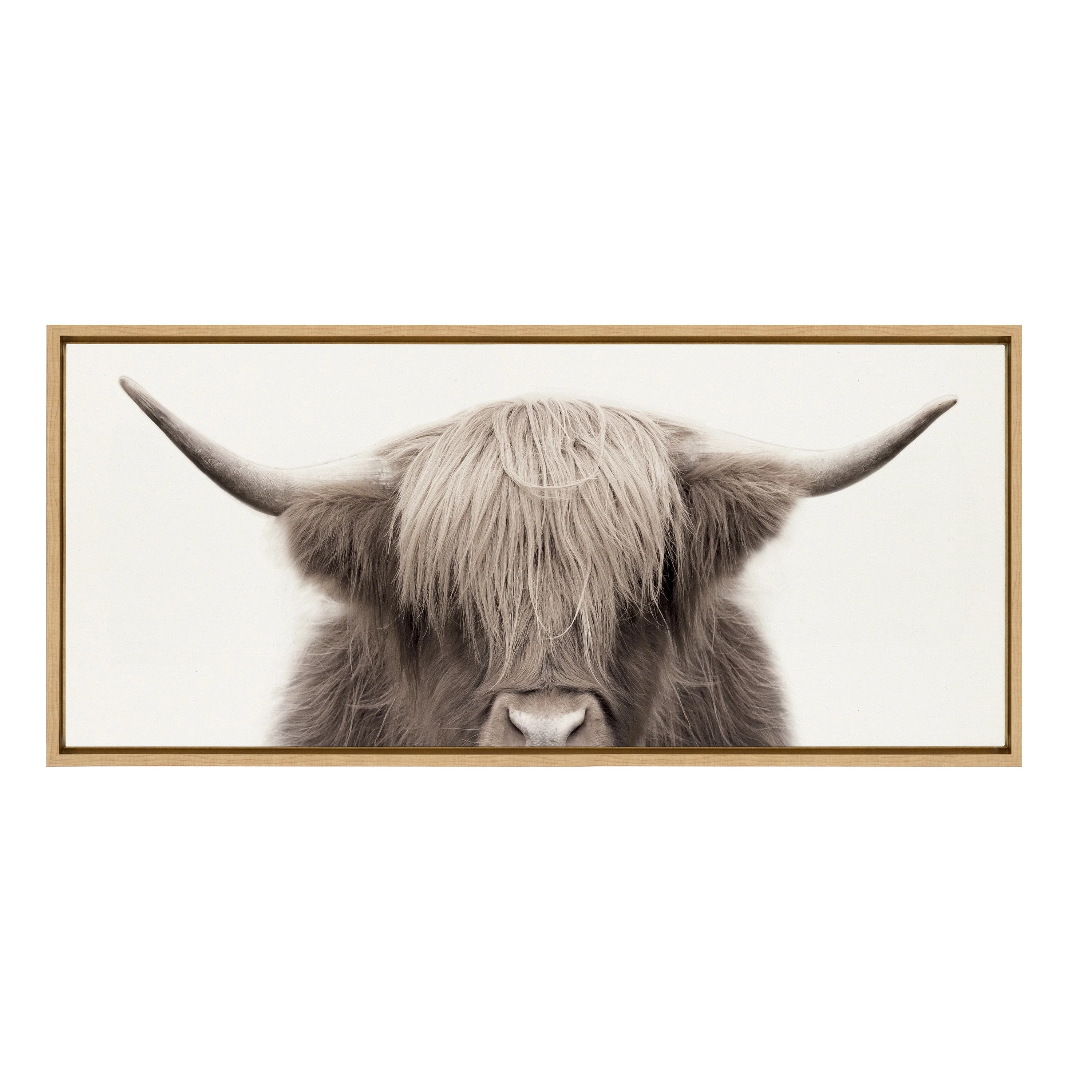 Sylvie Hey Dude Highland Cow Color Framed Canvas by The Creative Bunch Studio - Image 45
