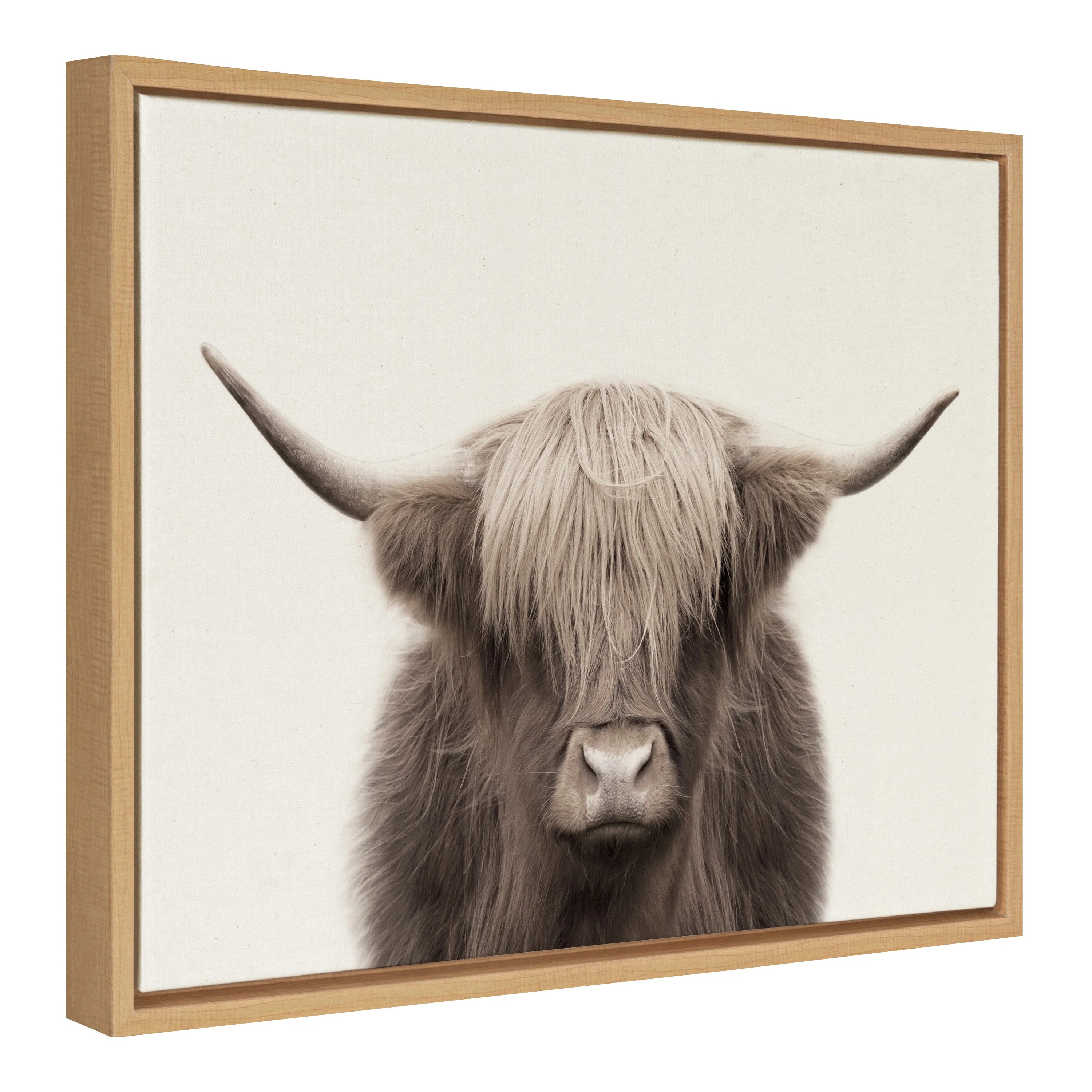 Sylvie Hey Dude Highland Cow Color Framed Canvas by The Creative Bunch Studio - Image 46