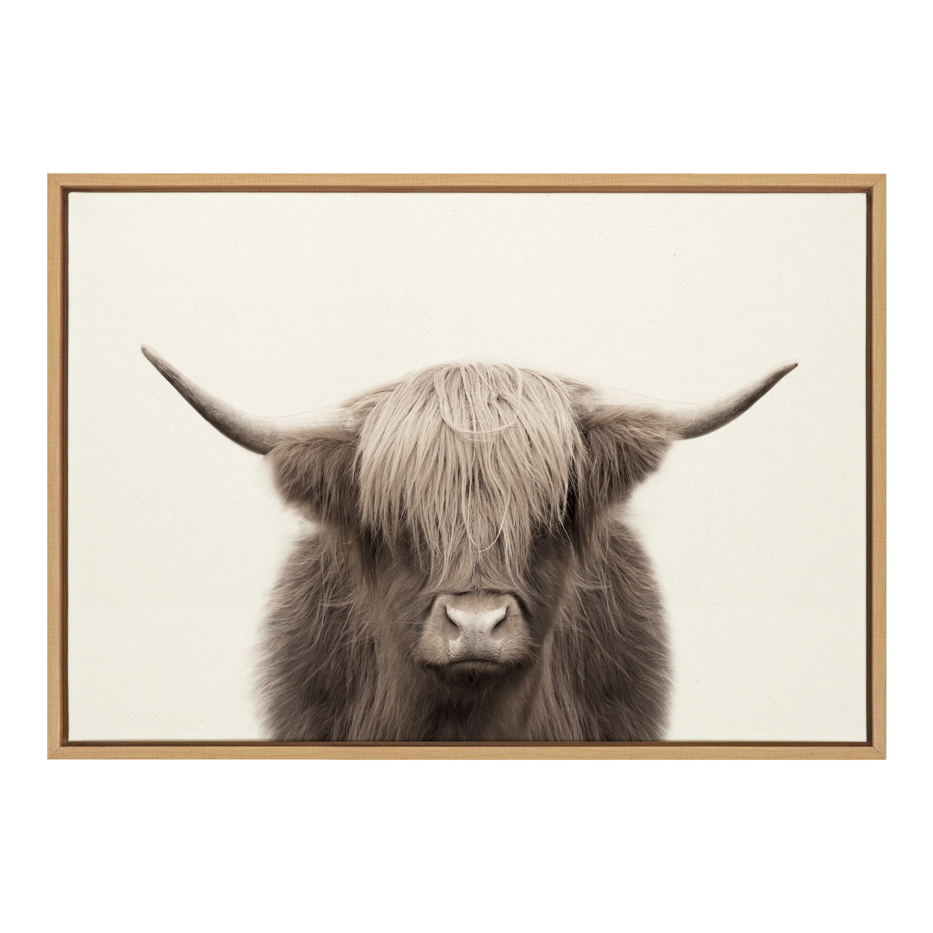 Sylvie Hey Dude Highland Cow Color Framed Canvas by The Creative Bunch Studio - Image 55