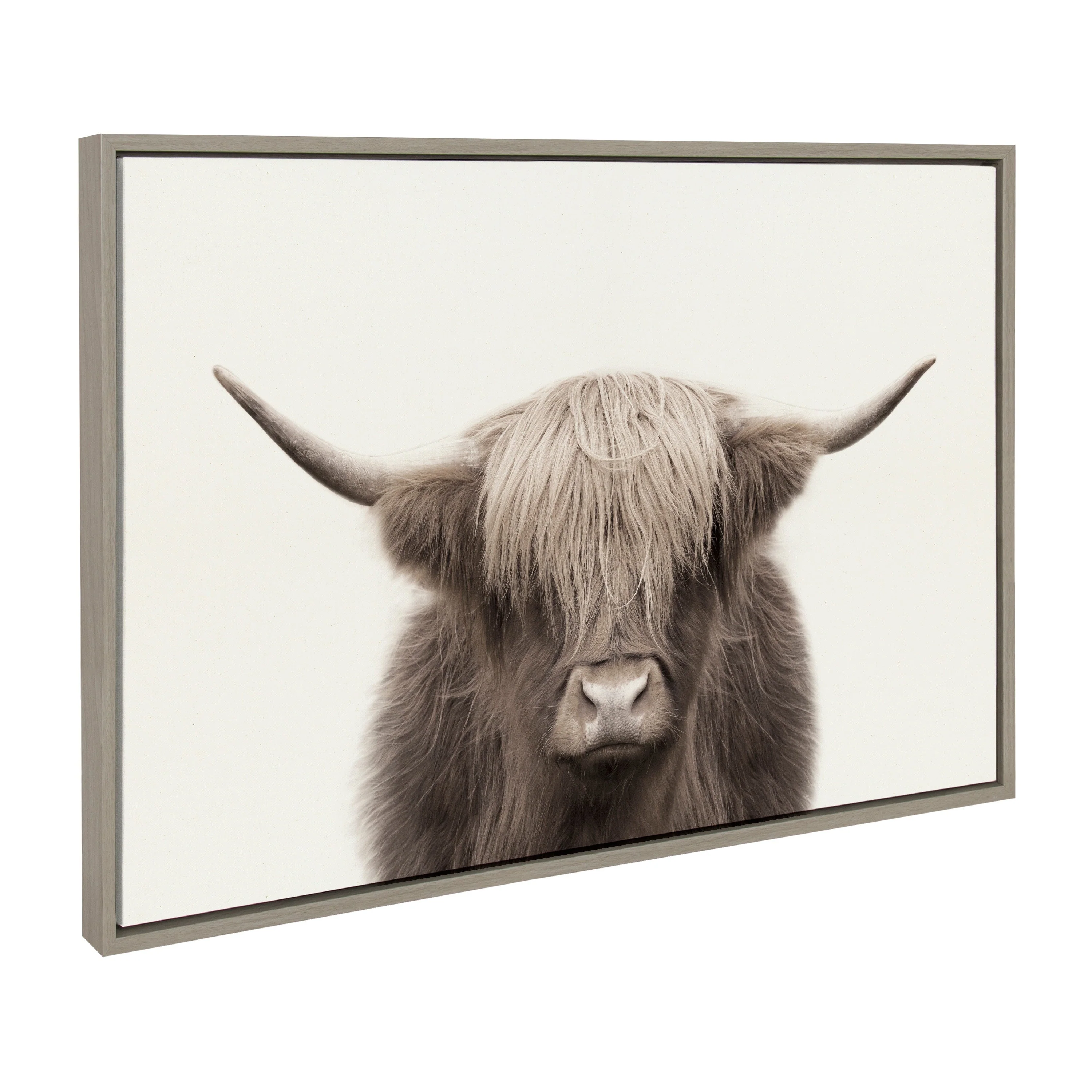 Sylvie Hey Dude Highland Cow Color Framed Canvas by The Creative Bunch Studio - Image 59