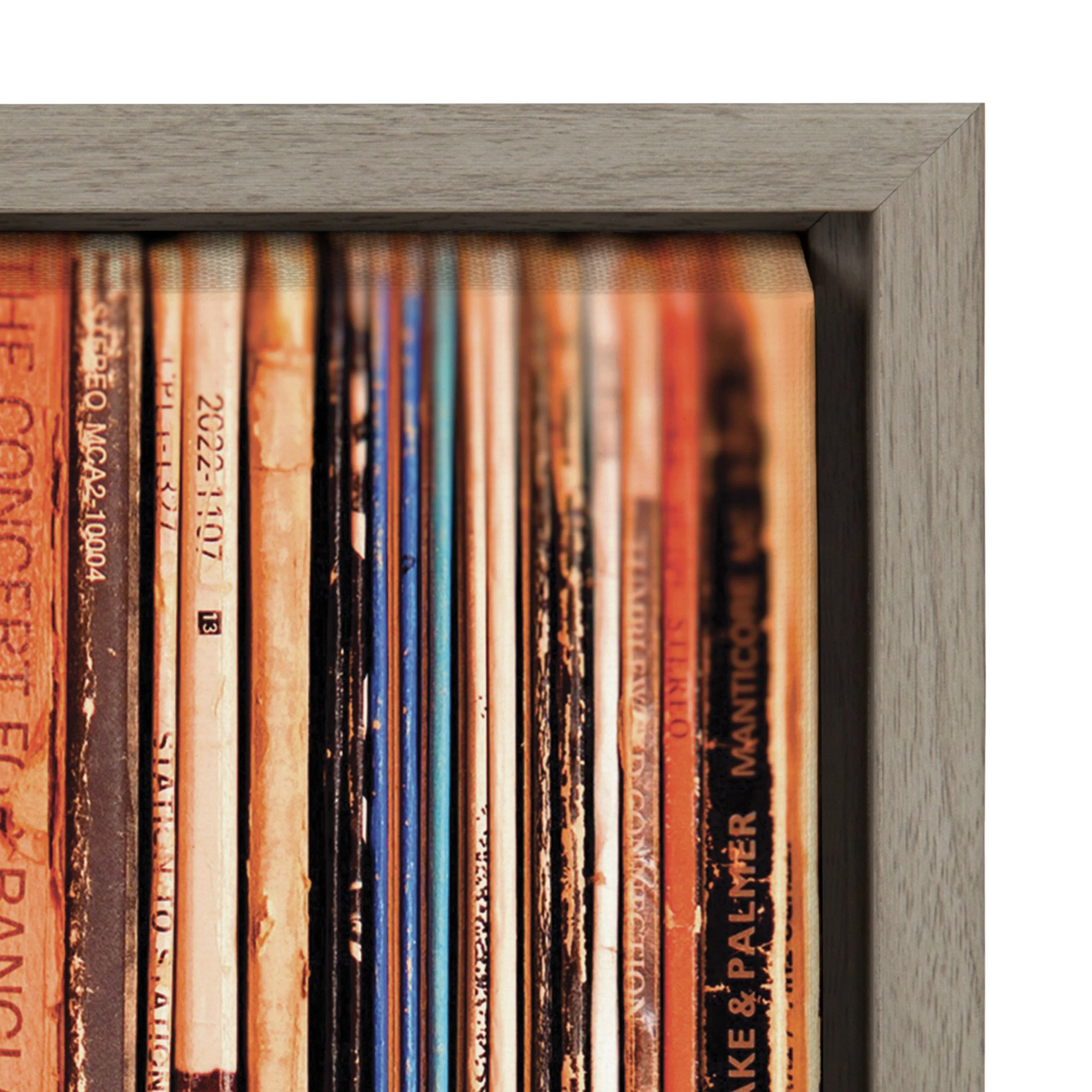 Sylvie Records Framed Canvas by Robert Cadloff of Bomobob - Image 36