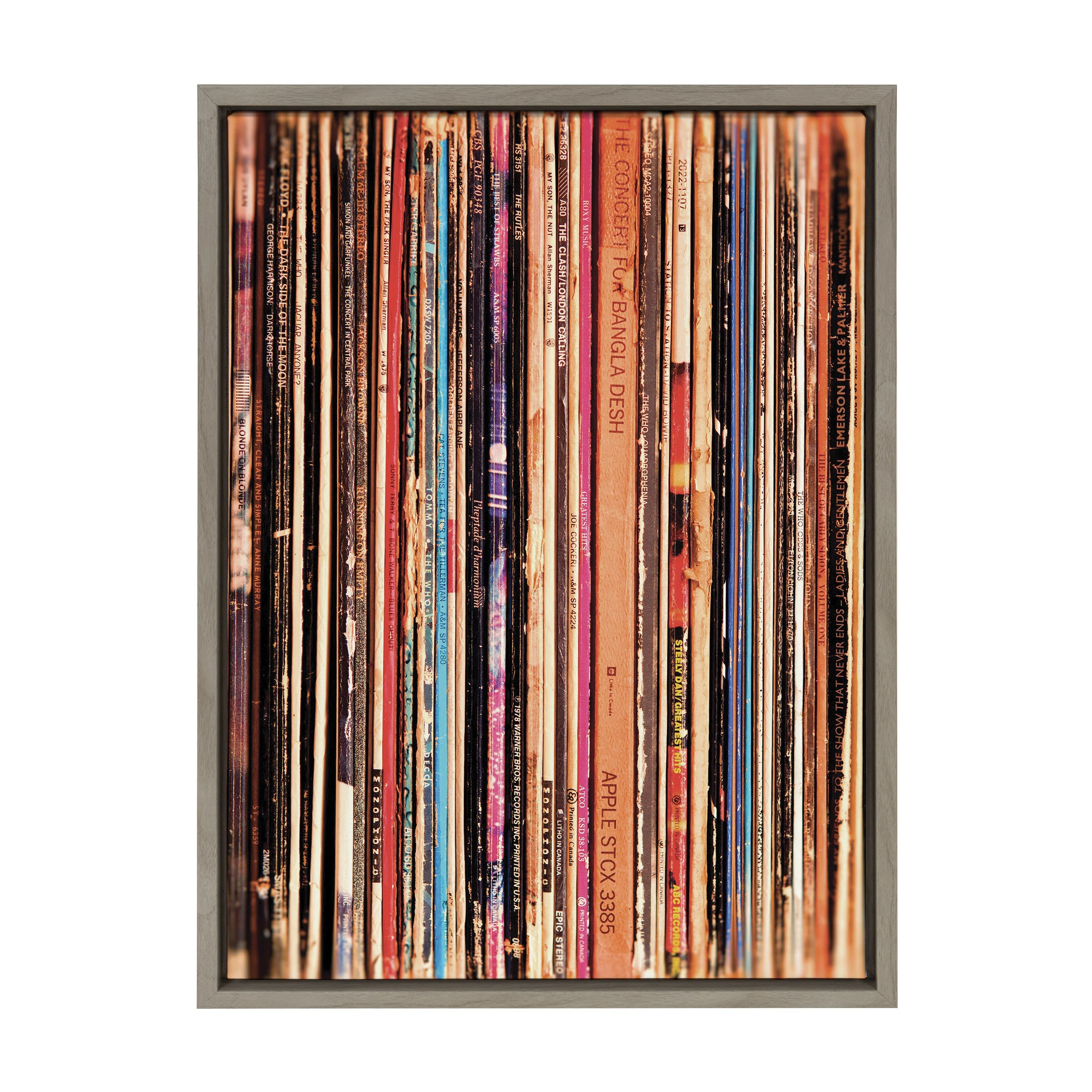 Sylvie Records Framed Canvas by Robert Cadloff of Bomobob - Image 40