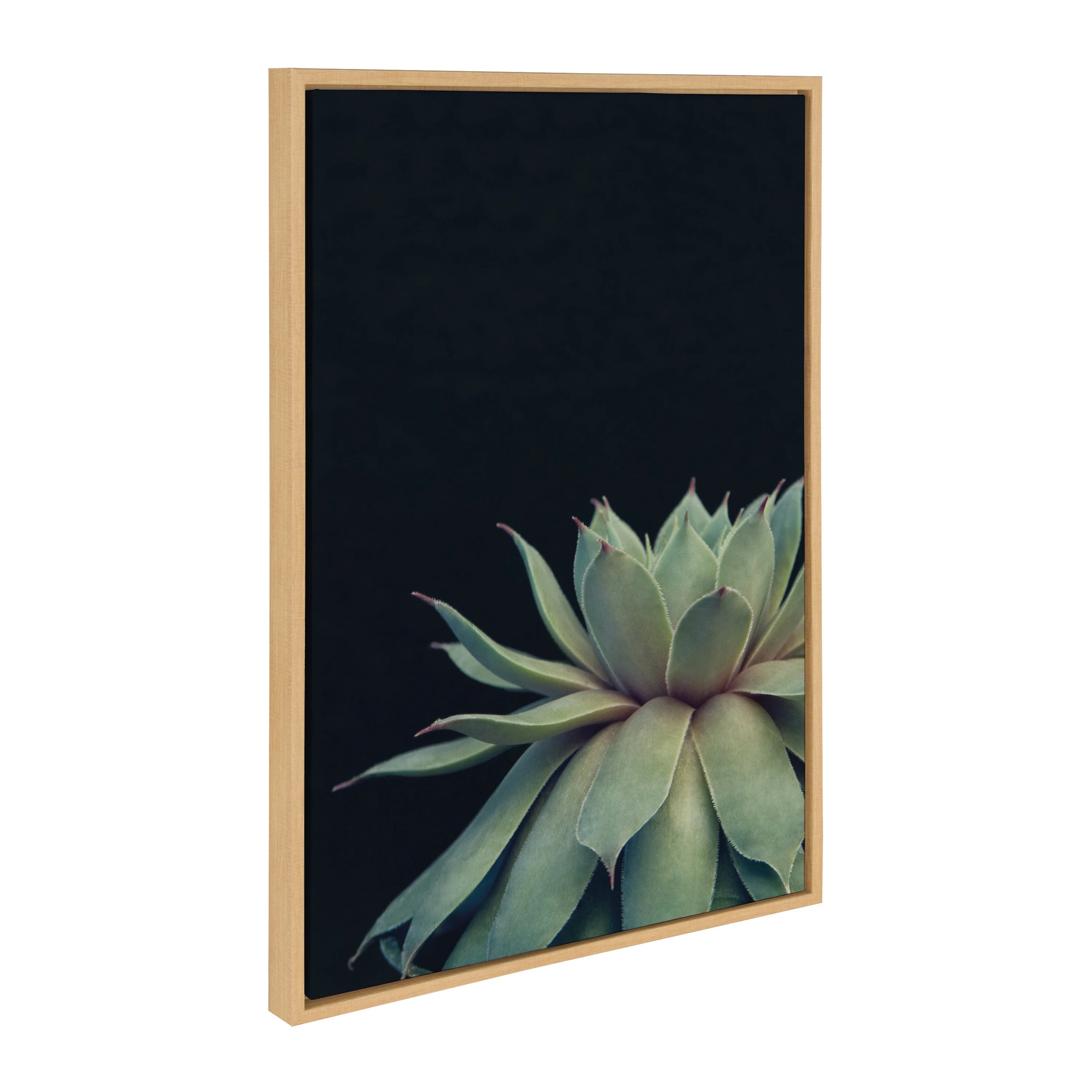 Sylvie Succulent Framed Canvas by F2 Images - Image 12