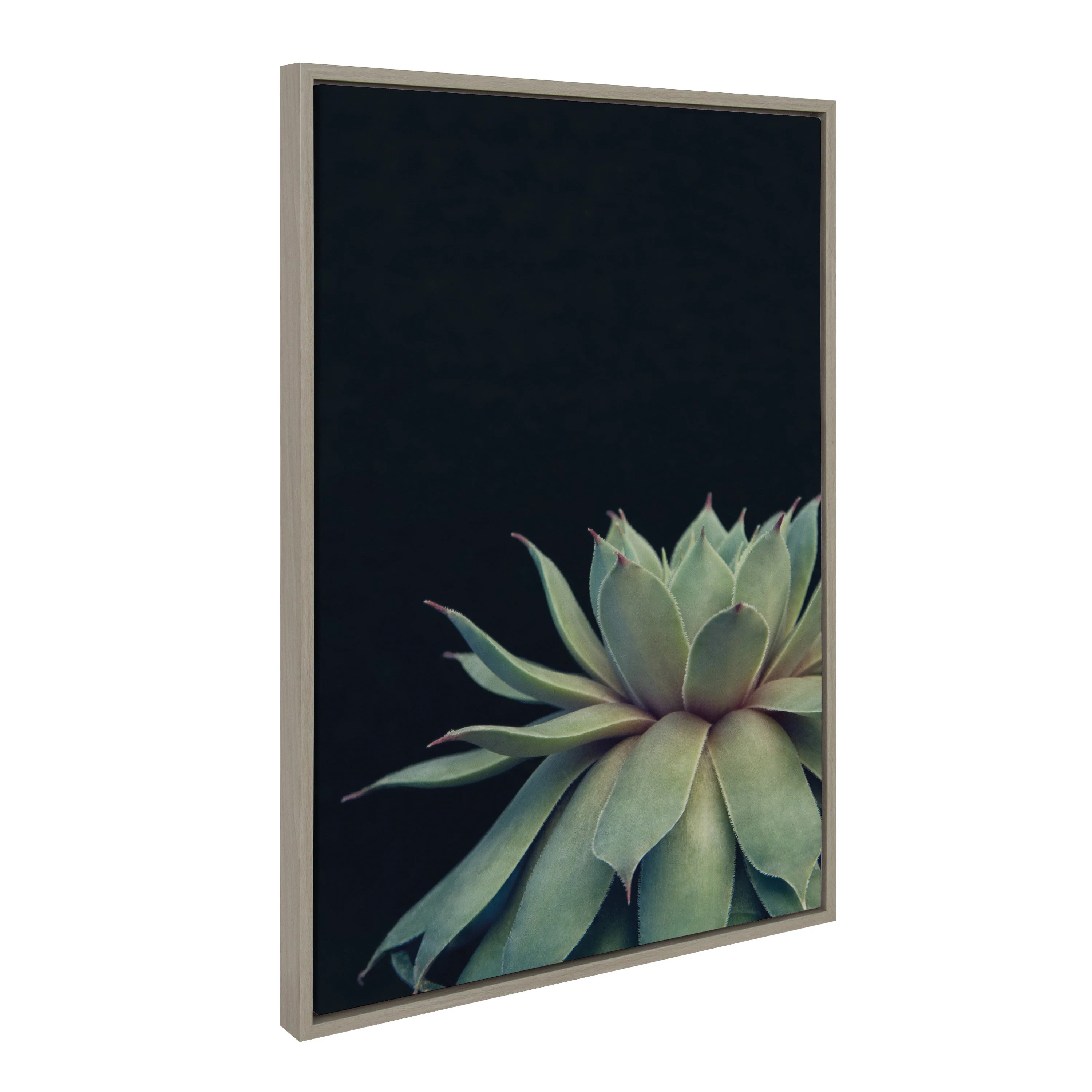 Sylvie Succulent Framed Canvas by F2 Images - Image 13