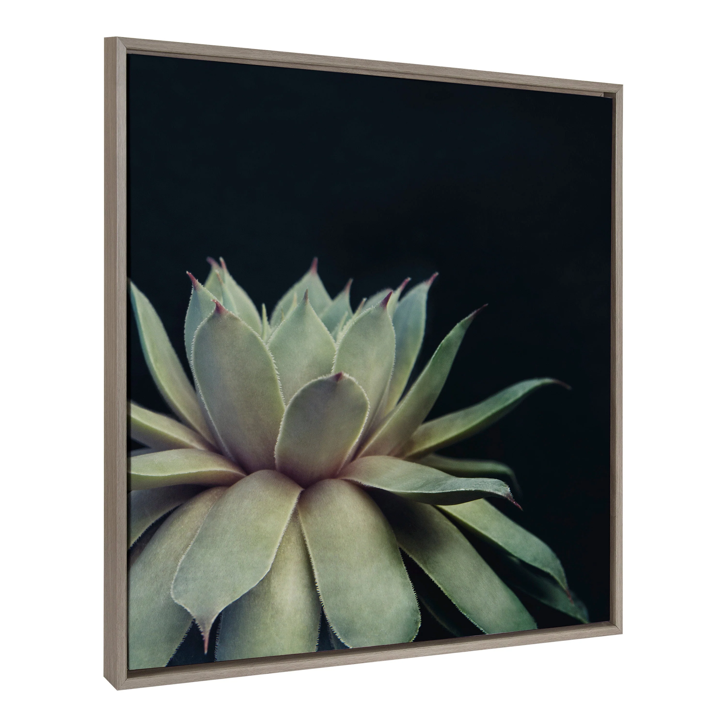 Sylvie Succulent Framed Canvas by F2 Images - Image 15