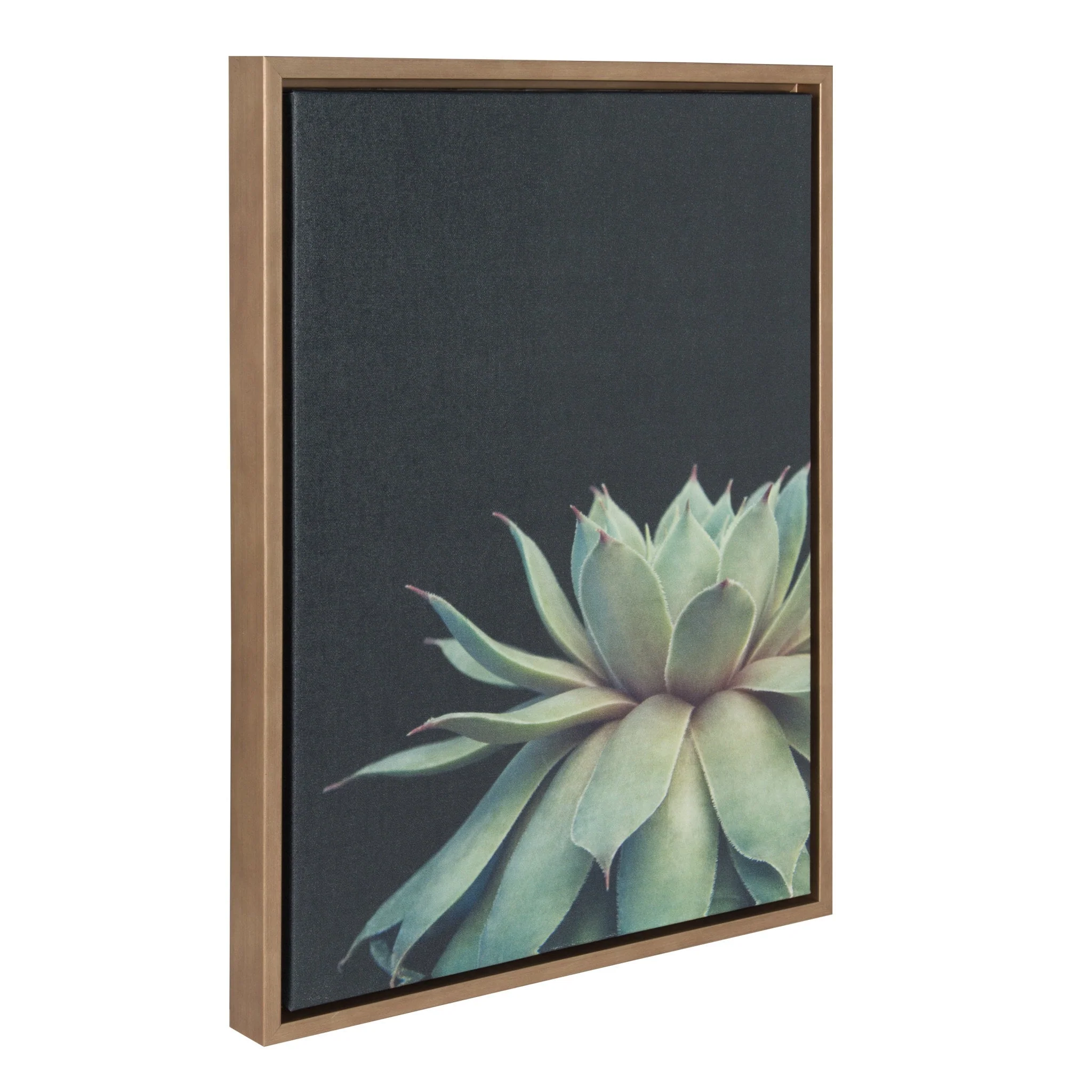 Sylvie Succulent Framed Canvas by F2 Images - Image 2