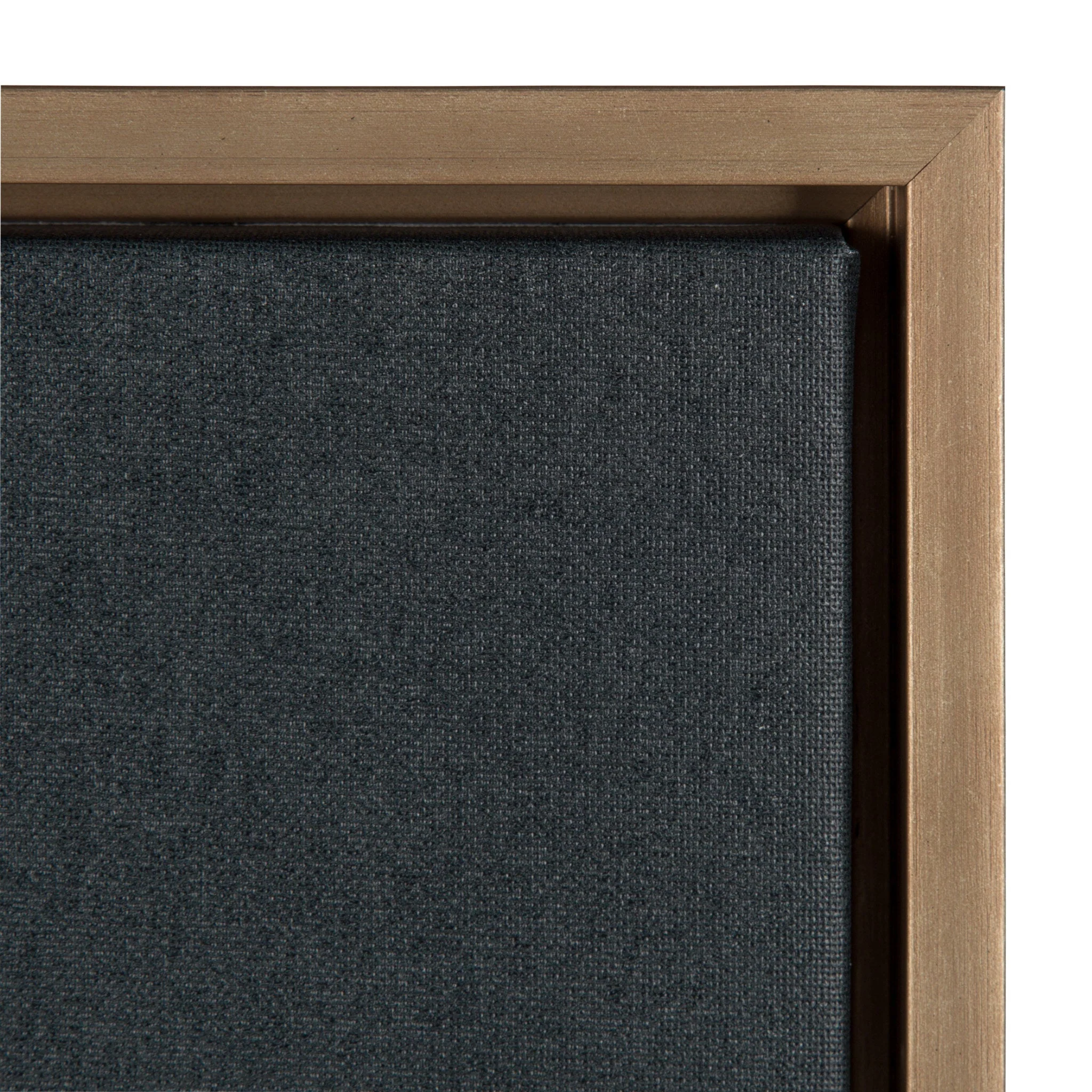 Sylvie Succulent Framed Canvas by F2 Images - Image 3