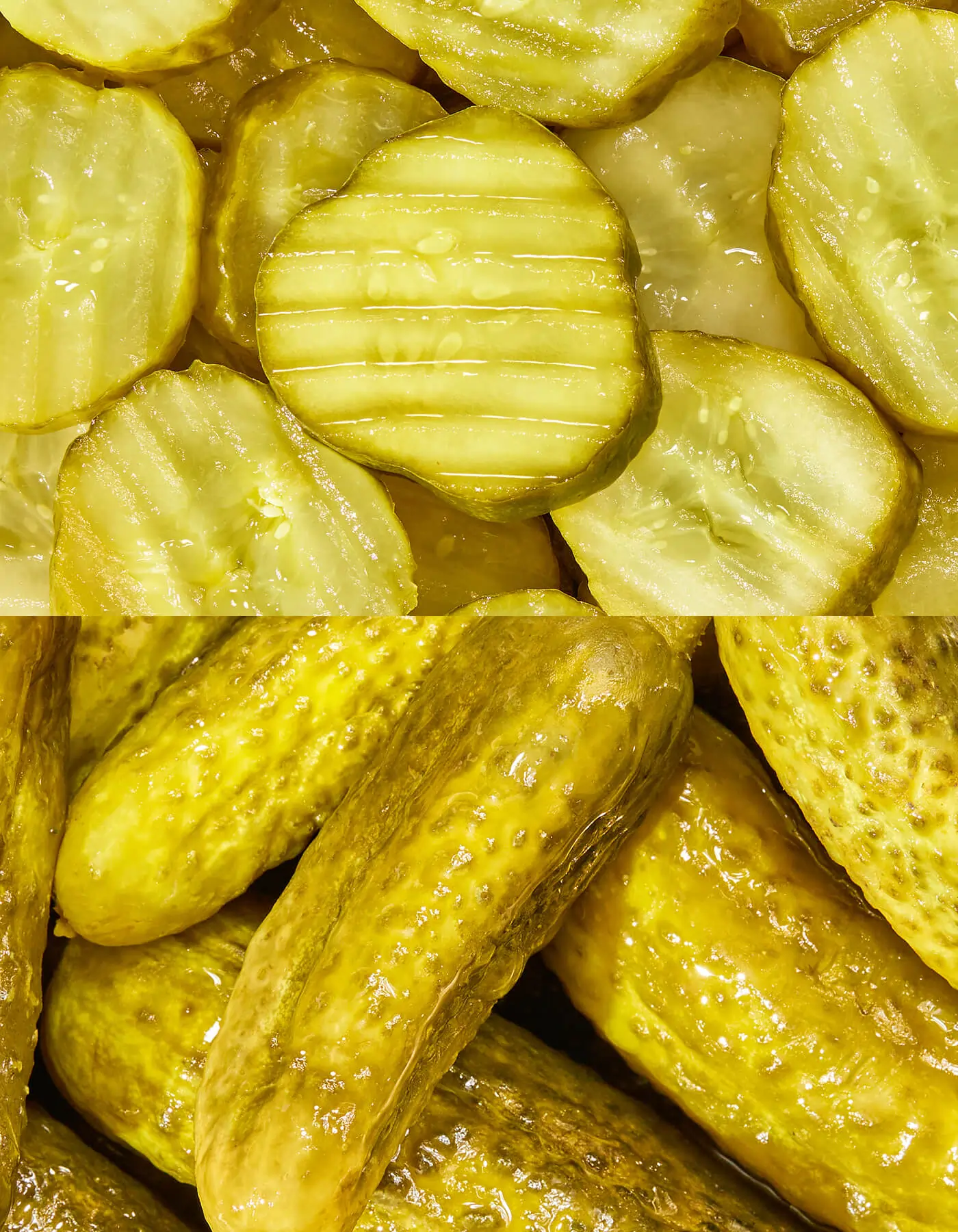 Dill Pickle Variety - 6 Ct Starter Pack (3 Flavors) - Image 2